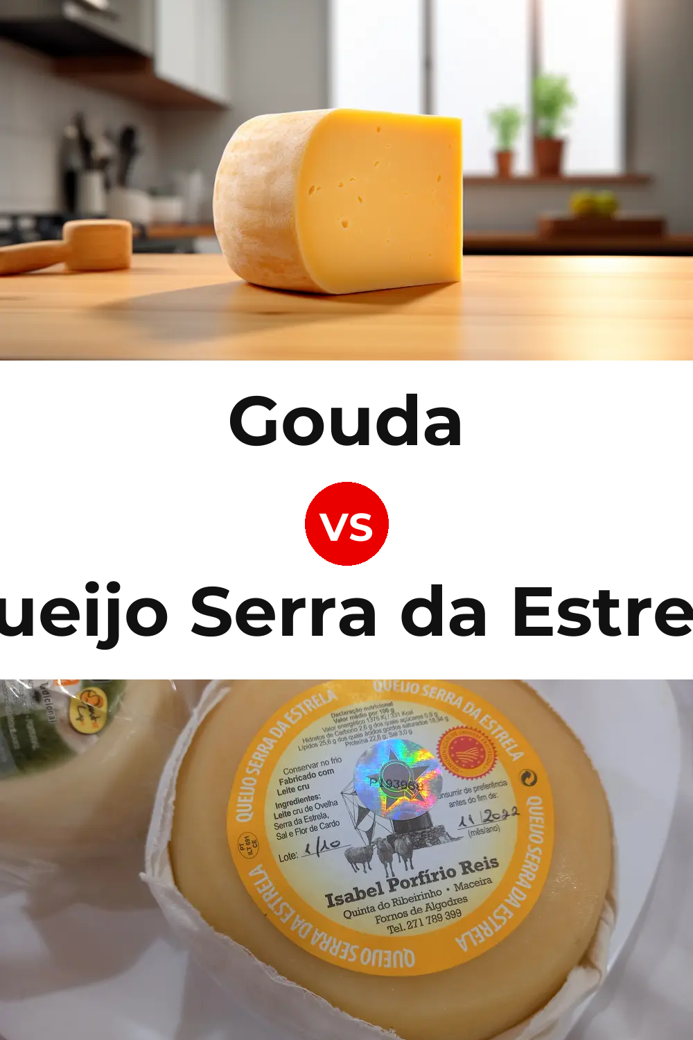Gouda Cheese vs Queijo Serra da Estrela Pinterest comparison