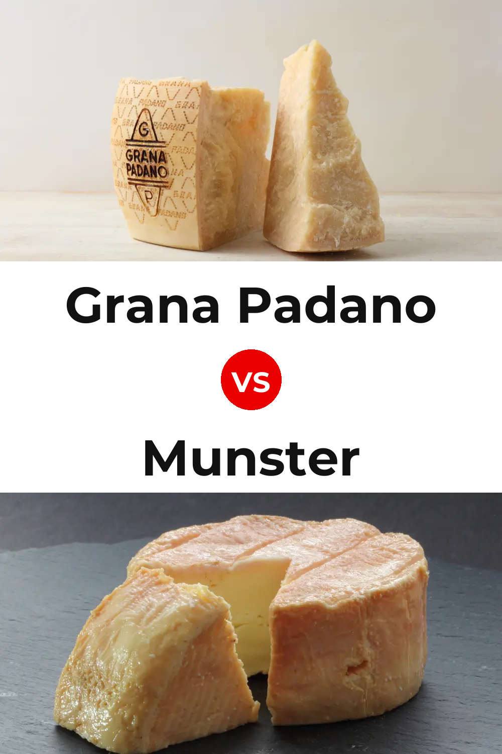 Grana Padano Cheese vs Munster Cheese Pinterest comparison