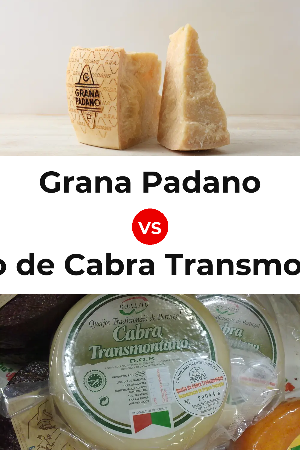 Grana Padano Cheese vs Queijo de Cabra Transmontano Pinterest comparison