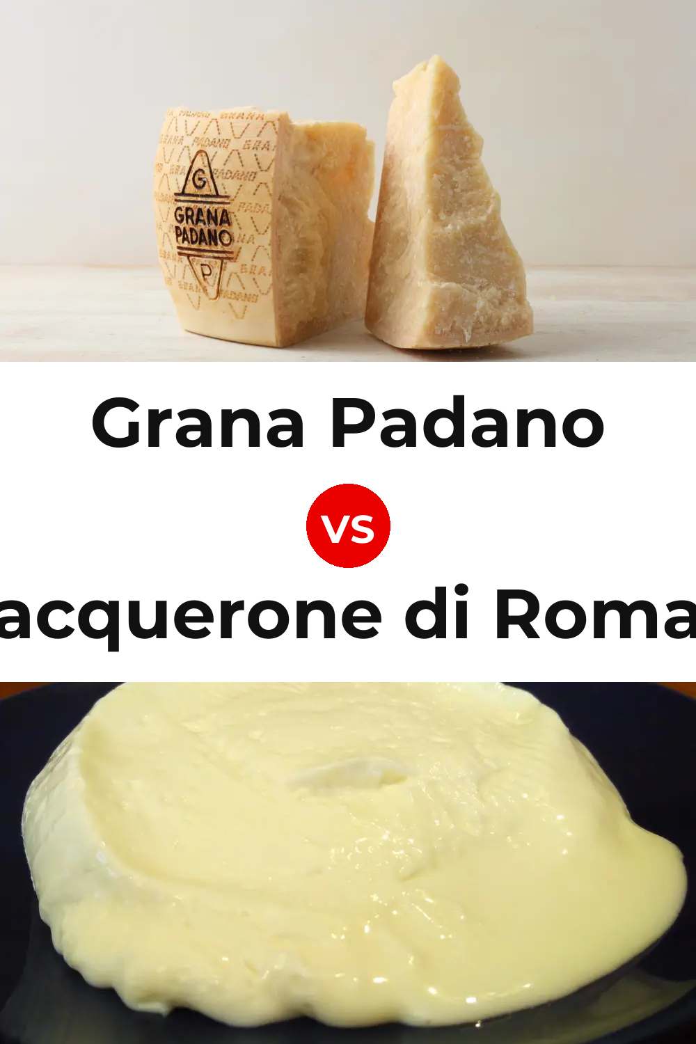 Grana Padano Cheese vs Squacquerone di Romagna Cheese Pinterest comparison