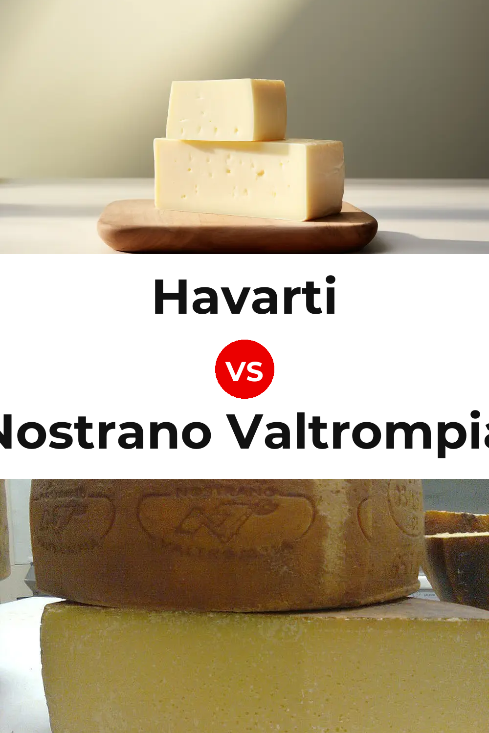 Havarti Cheese vs Nostrano Valtrompia Cheese Pinterest comparison