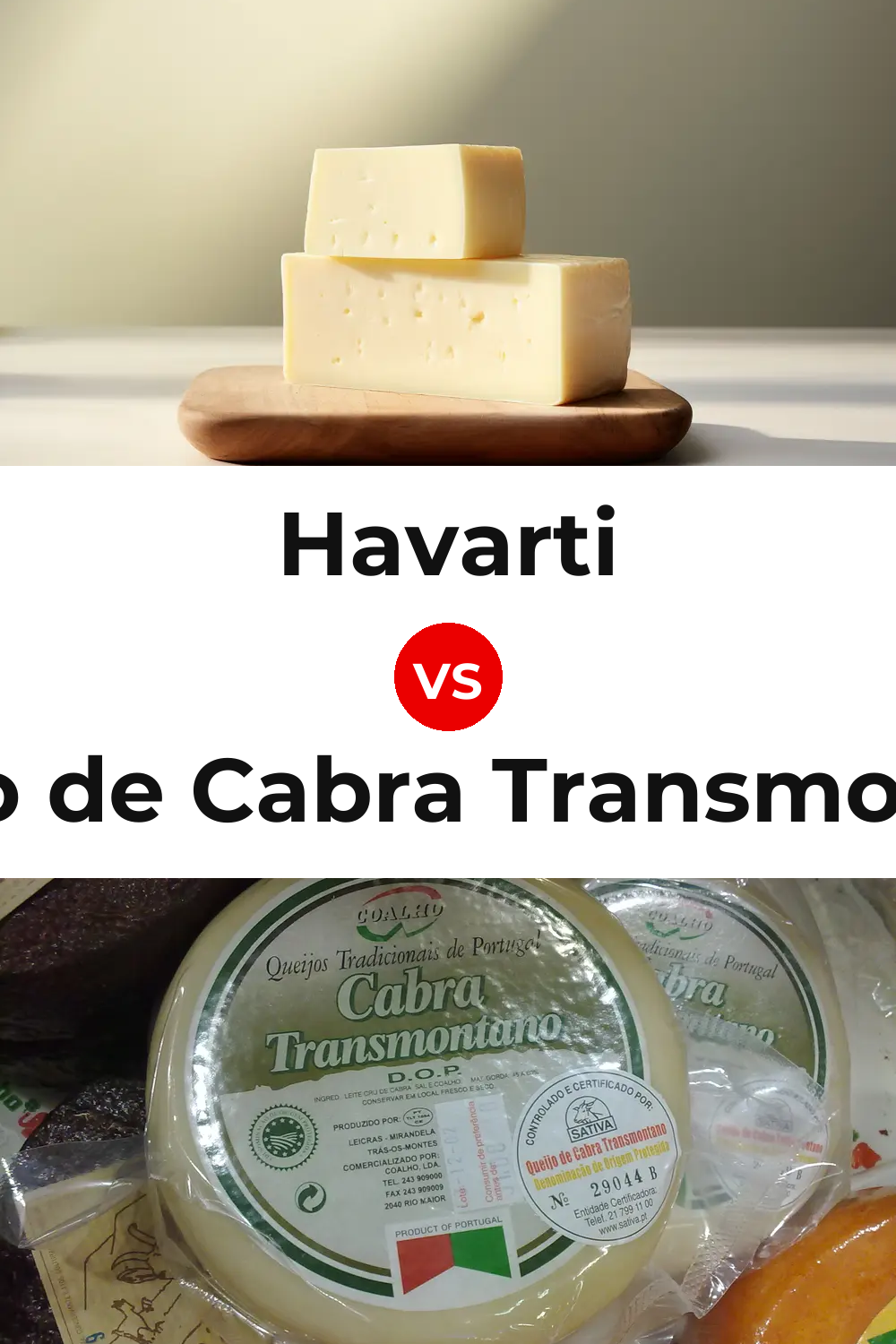 Havarti Cheese vs Queijo de Cabra Transmontano Pinterest comparison