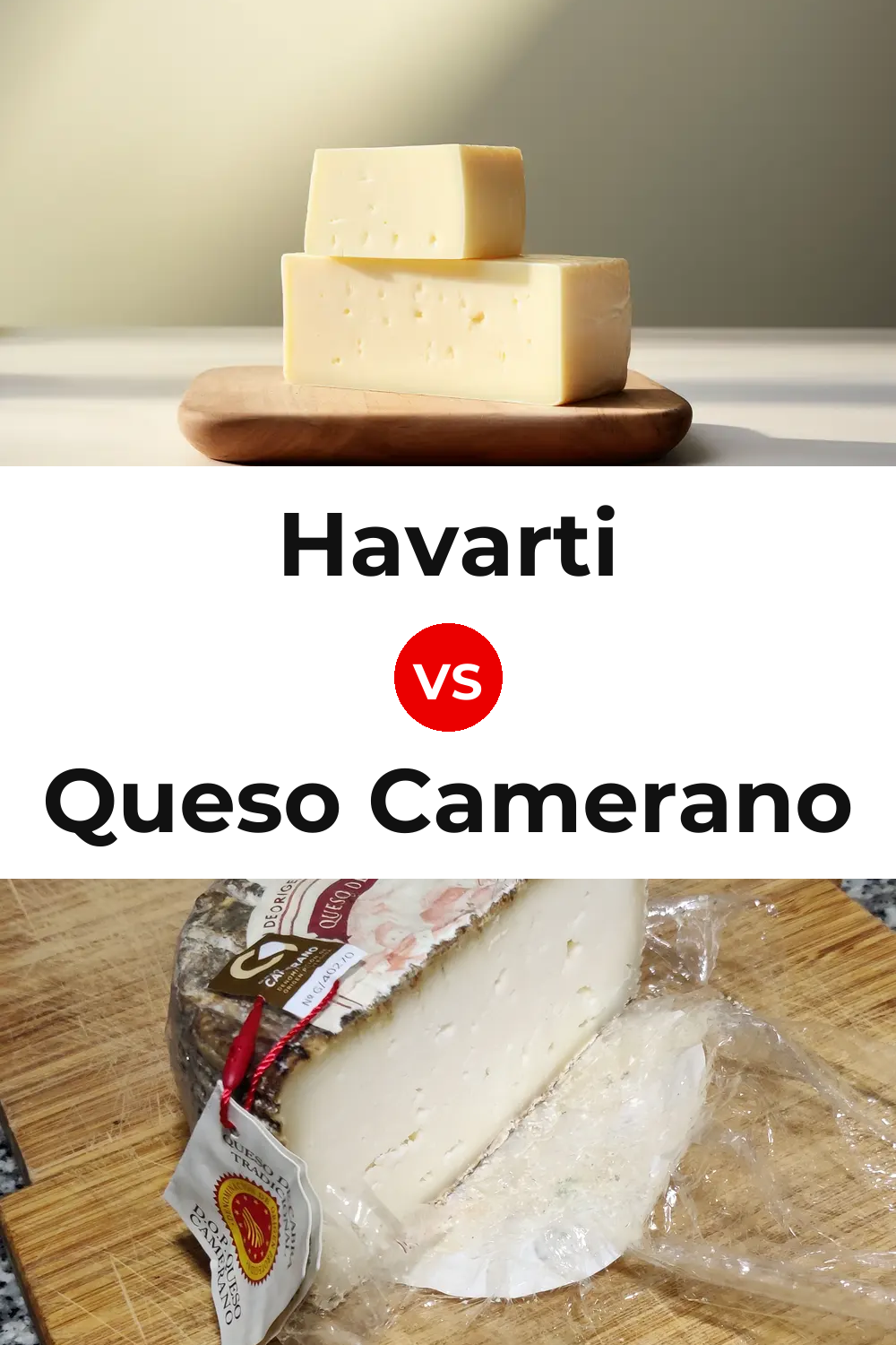 Havarti Cheese vs Queso Camerano Pinterest comparison