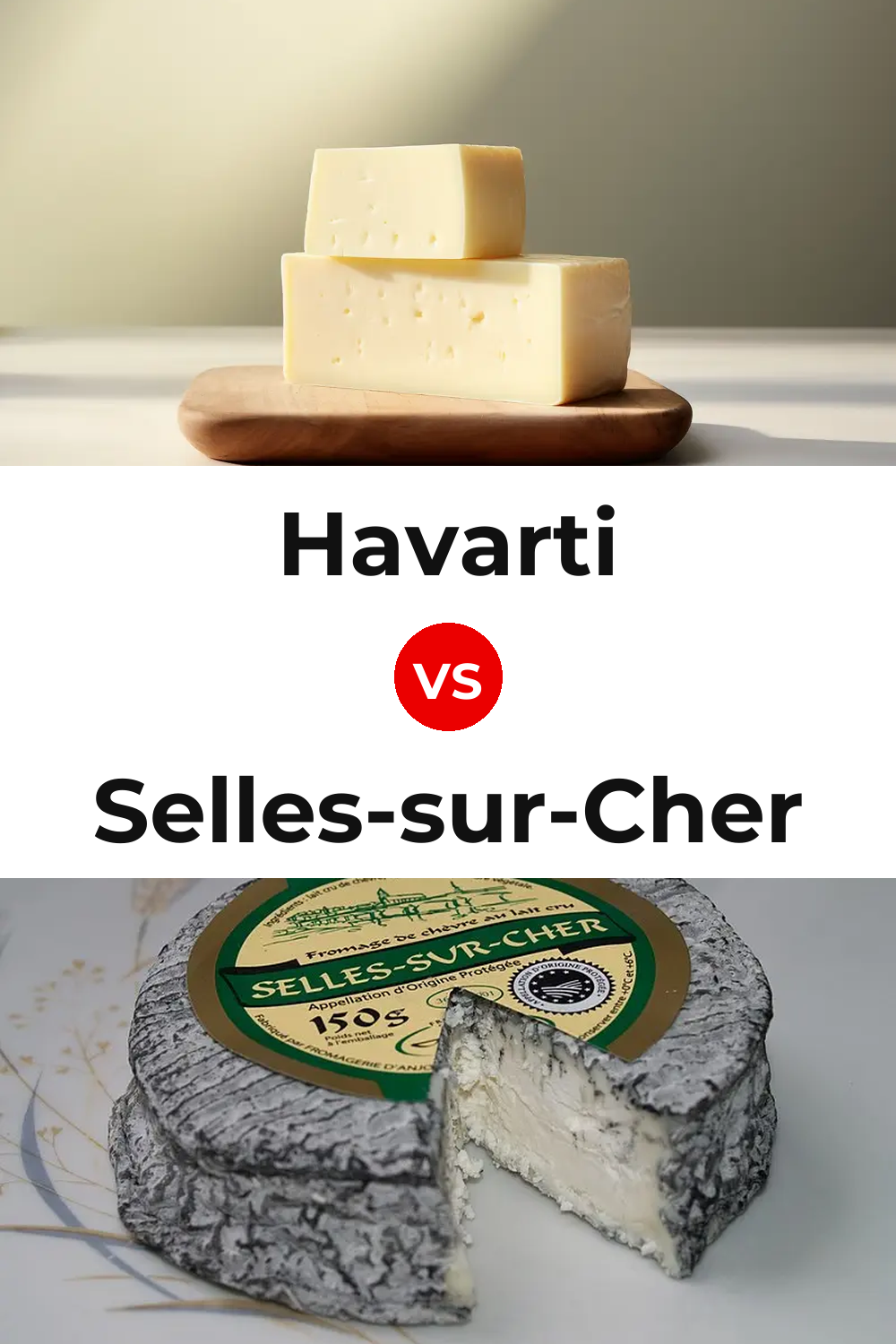 Havarti Cheese vs Selles-sur-Cher Cheese Pinterest comparison
