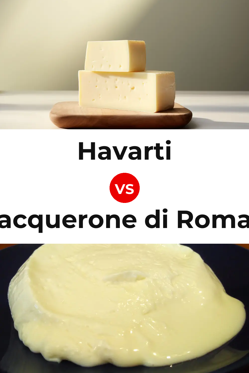 Havarti Cheese vs Squacquerone di Romagna Cheese Pinterest comparison