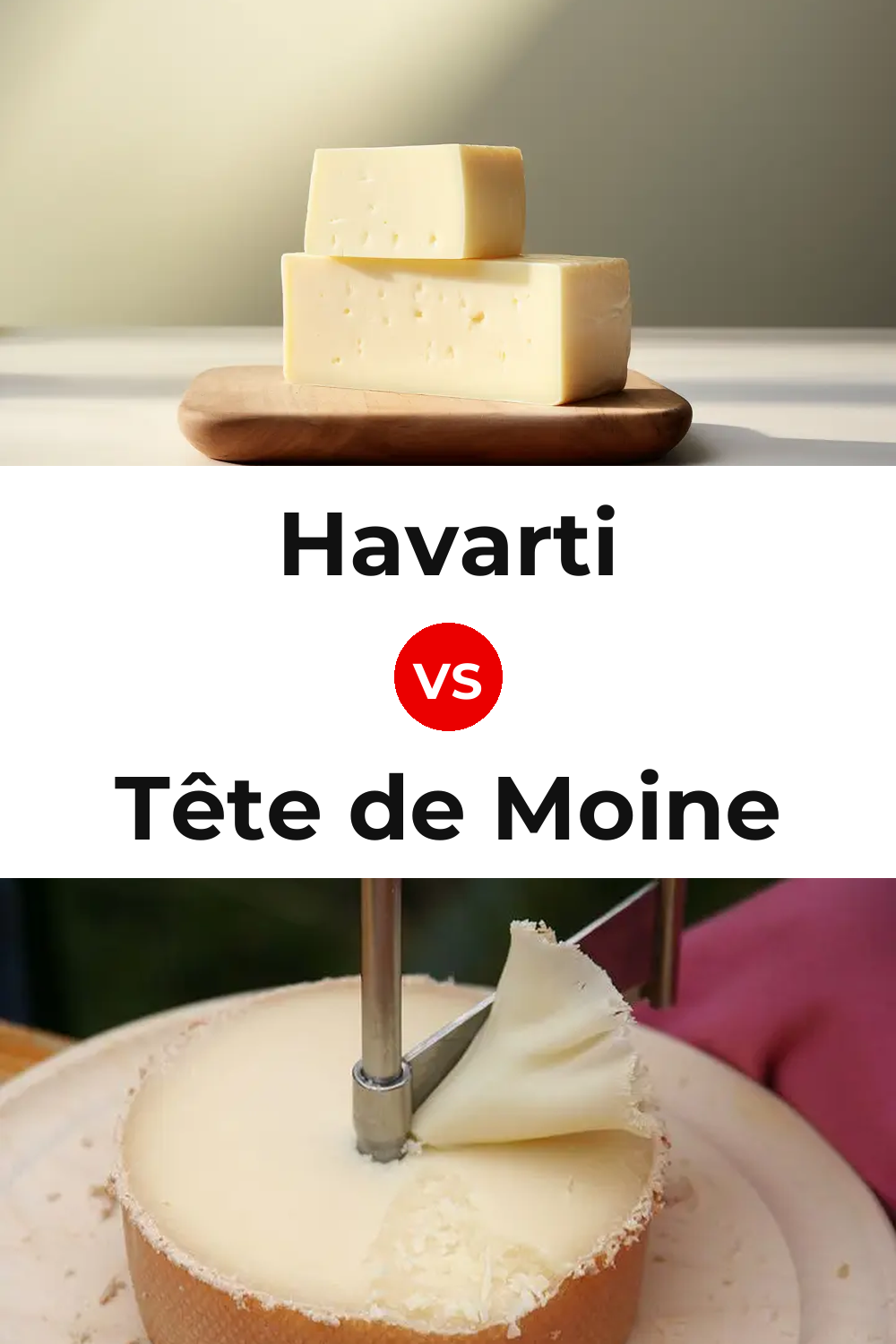 Havarti Cheese vs Tête de Moine Cheese Pinterest comparison