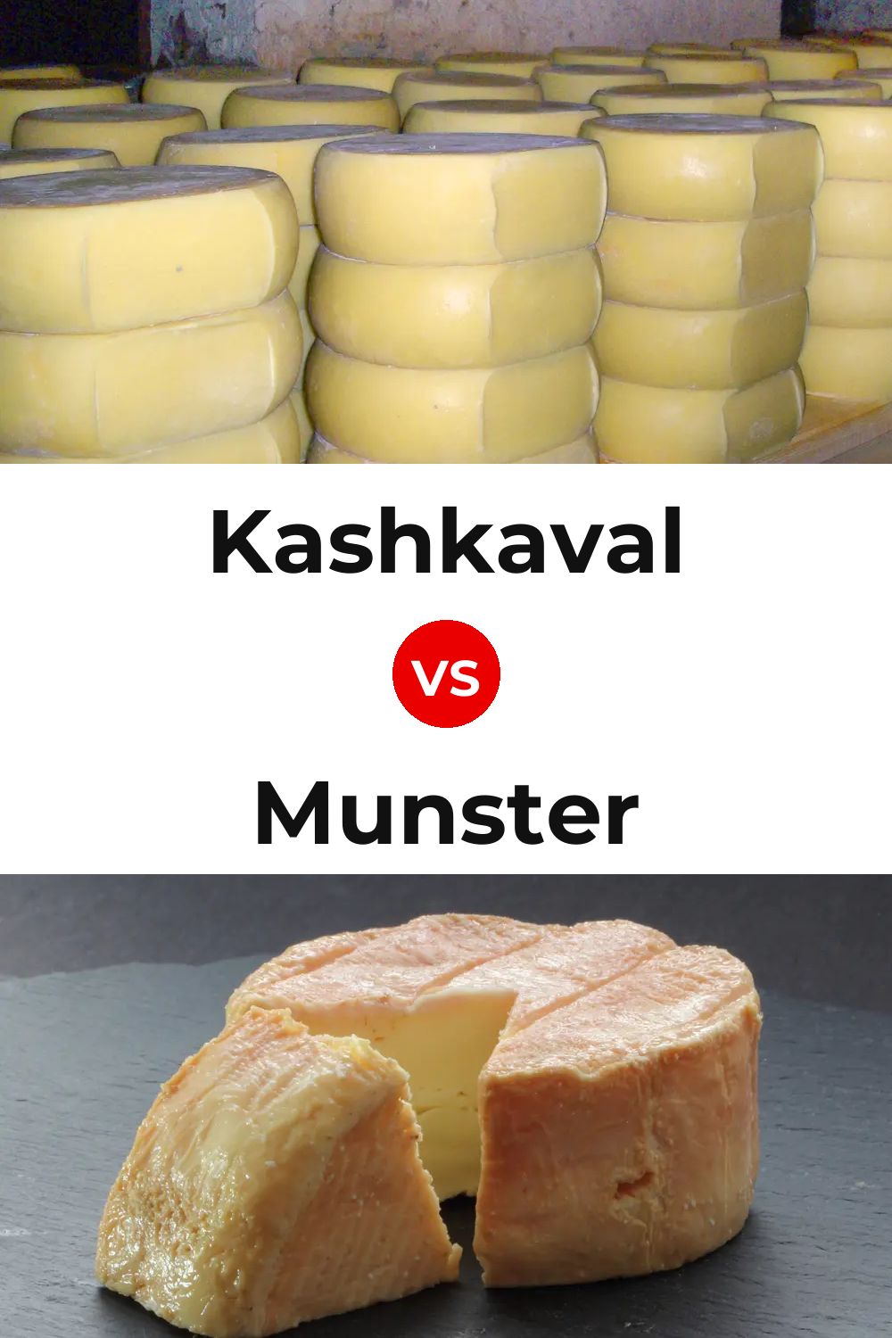 Kashkaval Cheese vs Munster Cheese Pinterest comparison