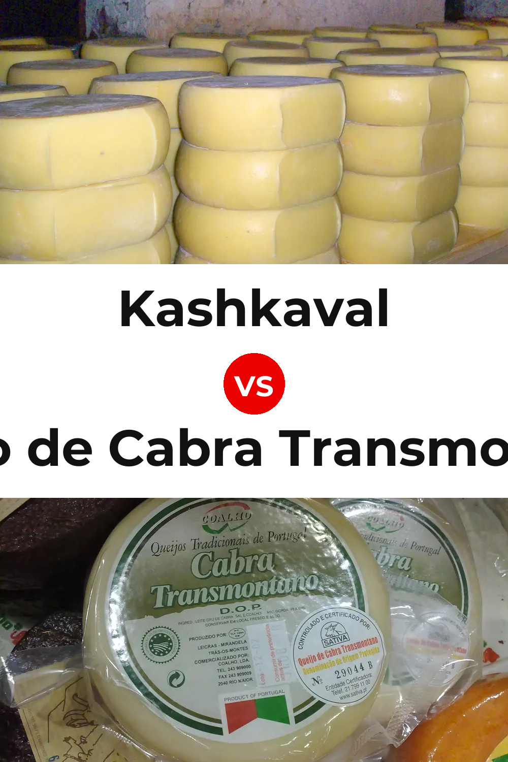 Kashkaval Cheese vs Queijo de Cabra Transmontano Pinterest comparison