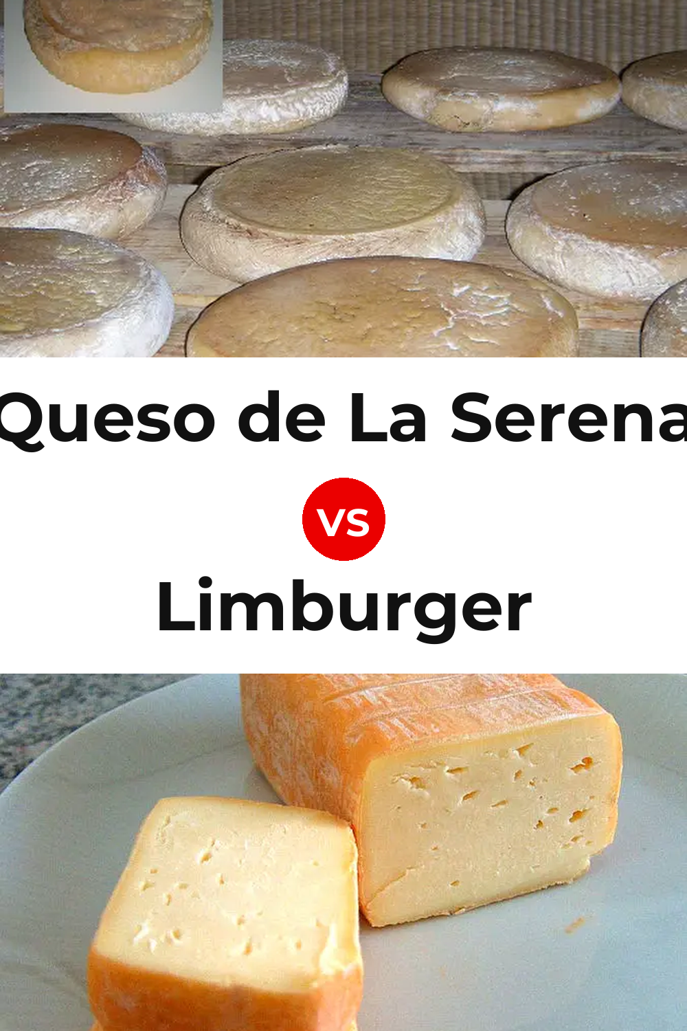 Queso de La Serena vs Limburger Cheese Pinterest comparison