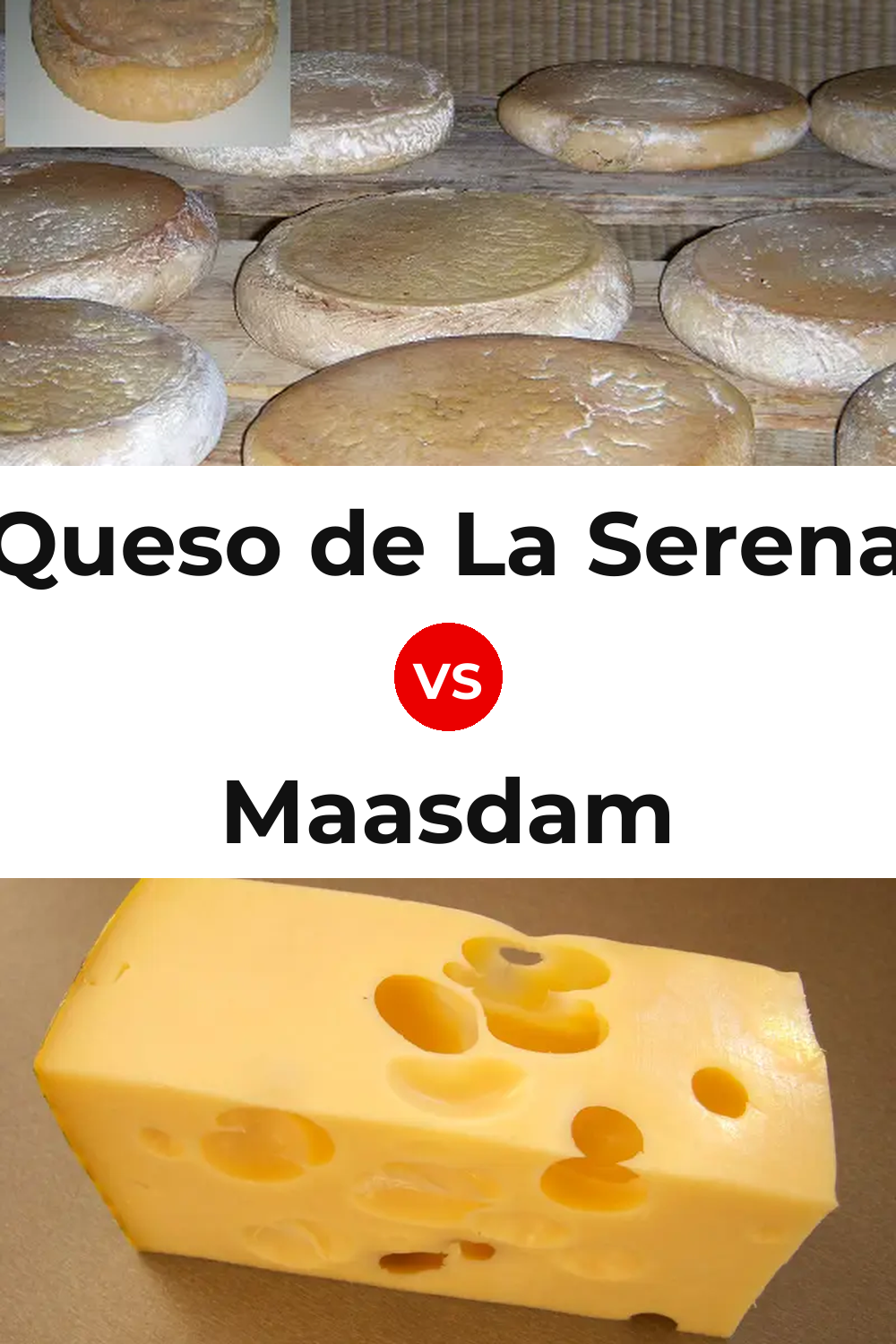 Queso de La Serena vs Maasdam Cheese Pinterest comparison