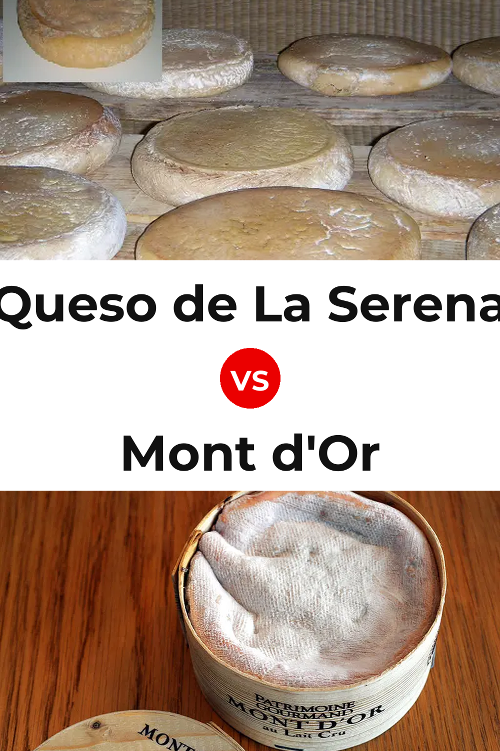 Queso de La Serena vs Mont d'Or Cheese Pinterest comparison