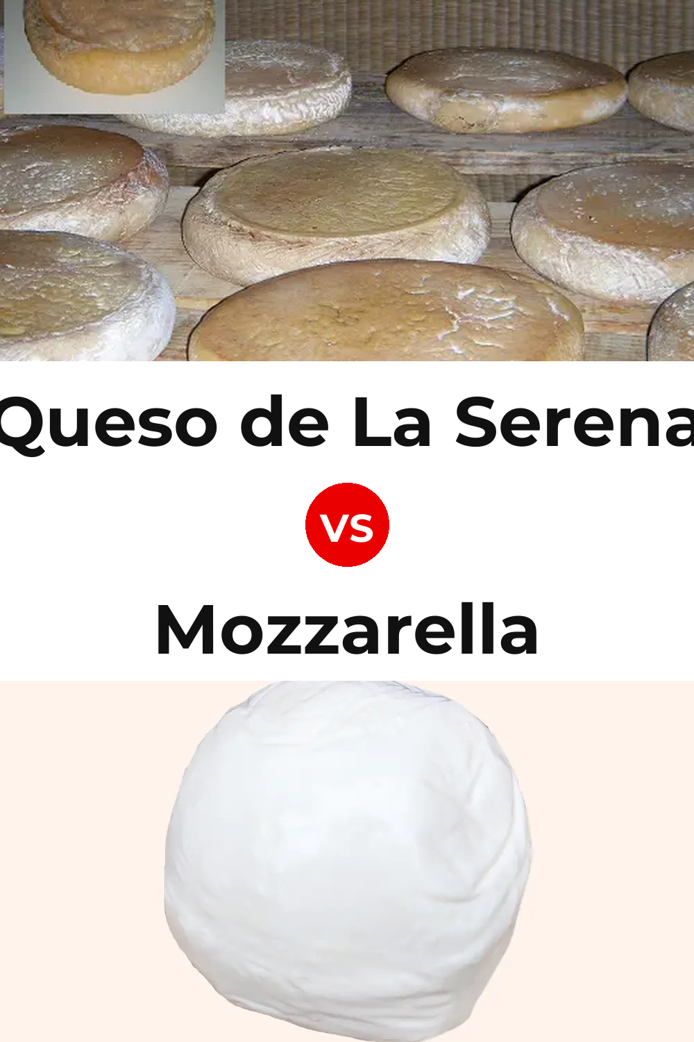 Queso de La Serena vs Mozzarella Cheese Pinterest comparison