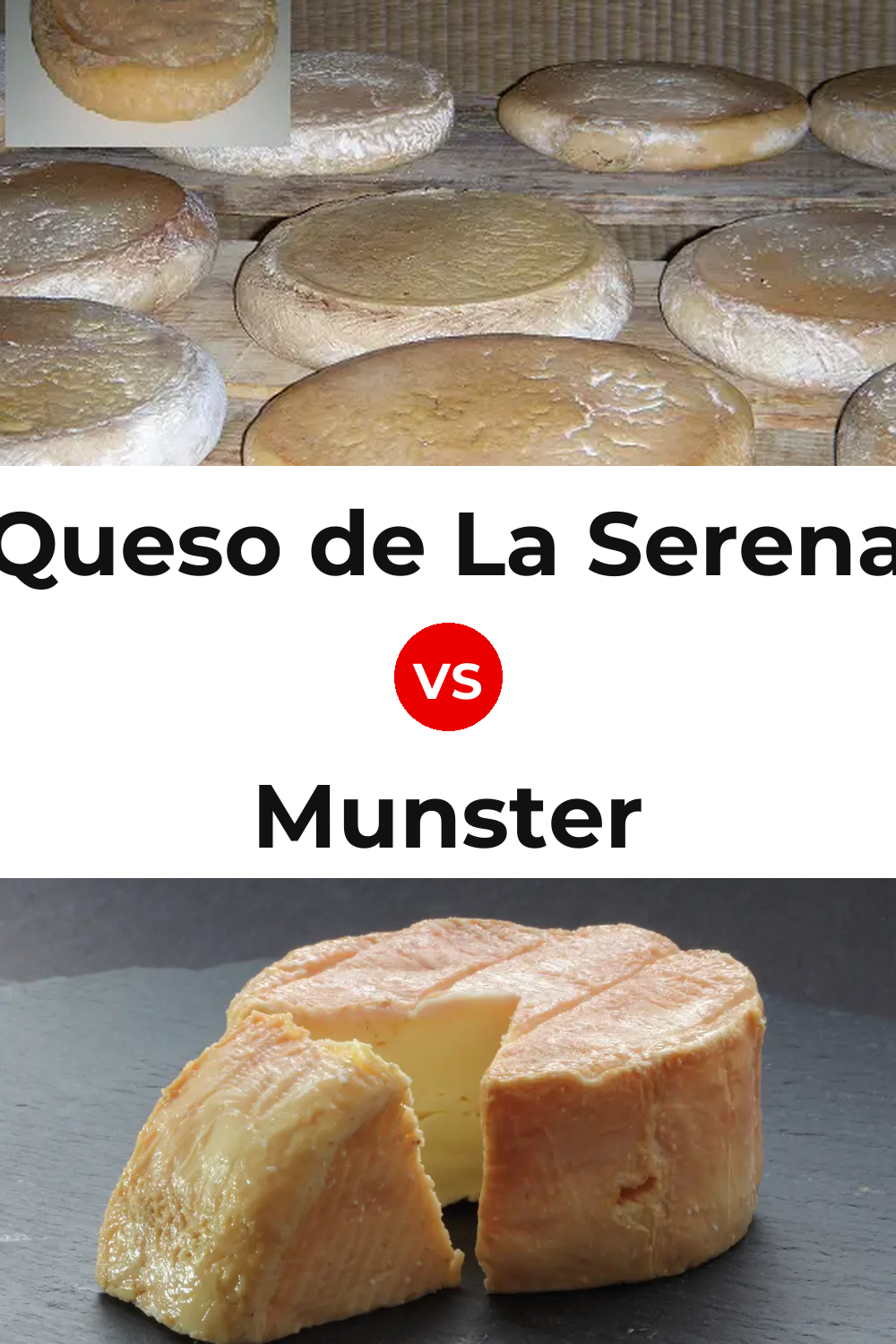 Queso de La Serena vs Munster Cheese Pinterest comparison