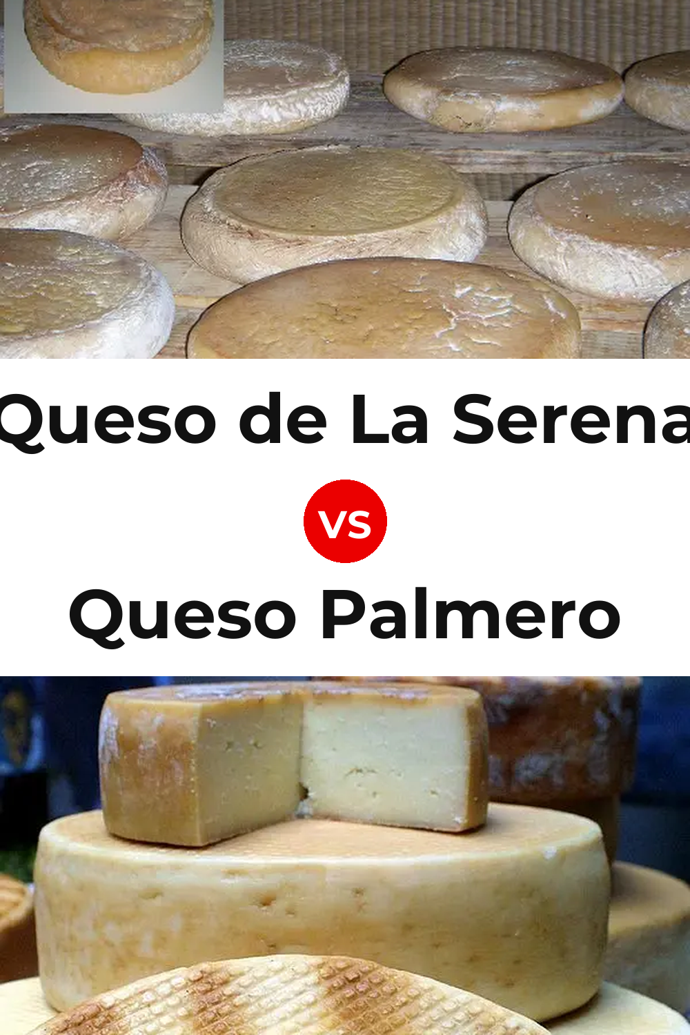 Queso de La Serena vs Queso Palmero Pinterest comparison