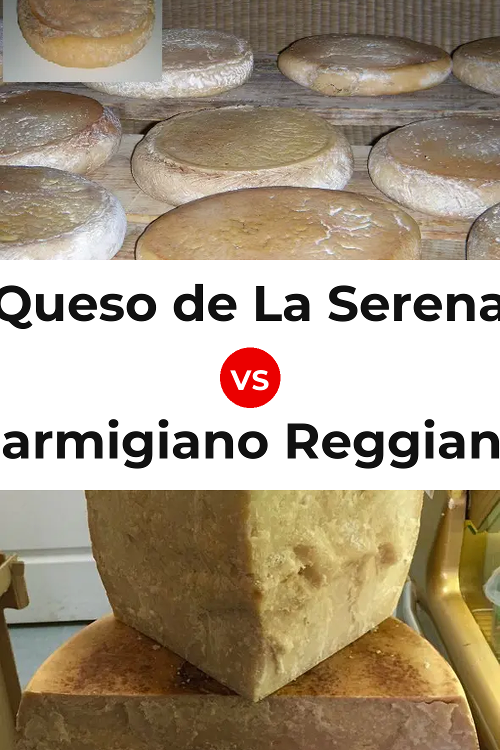 Queso de La Serena vs Parmigiano Reggiano Cheese Pinterest comparison