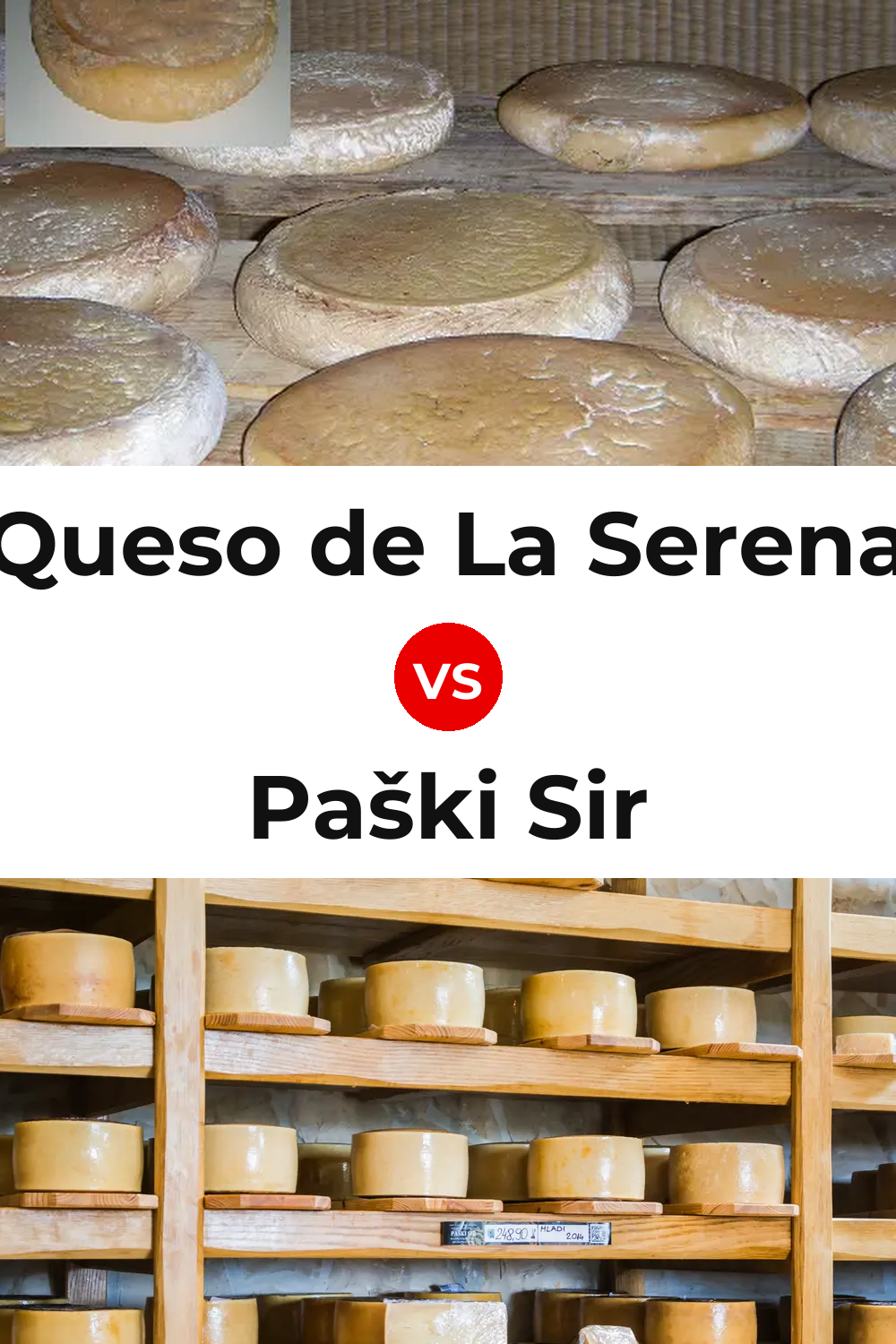 Queso de La Serena vs Paški Sir Cheese Pinterest comparison