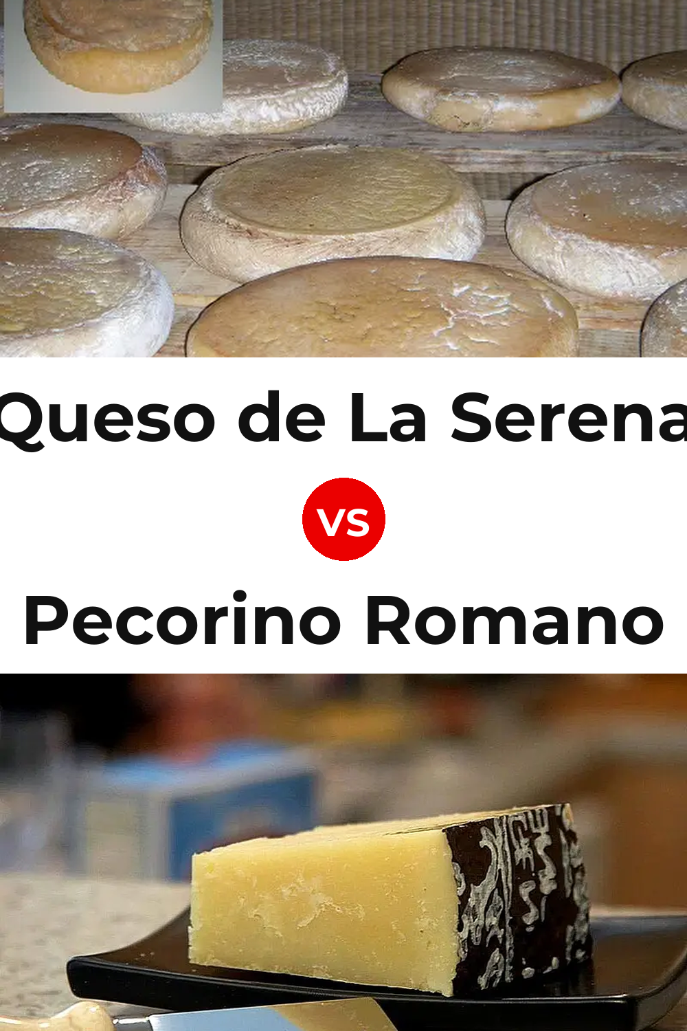 Queso de La Serena vs Pecorino Romano Cheese Pinterest comparison