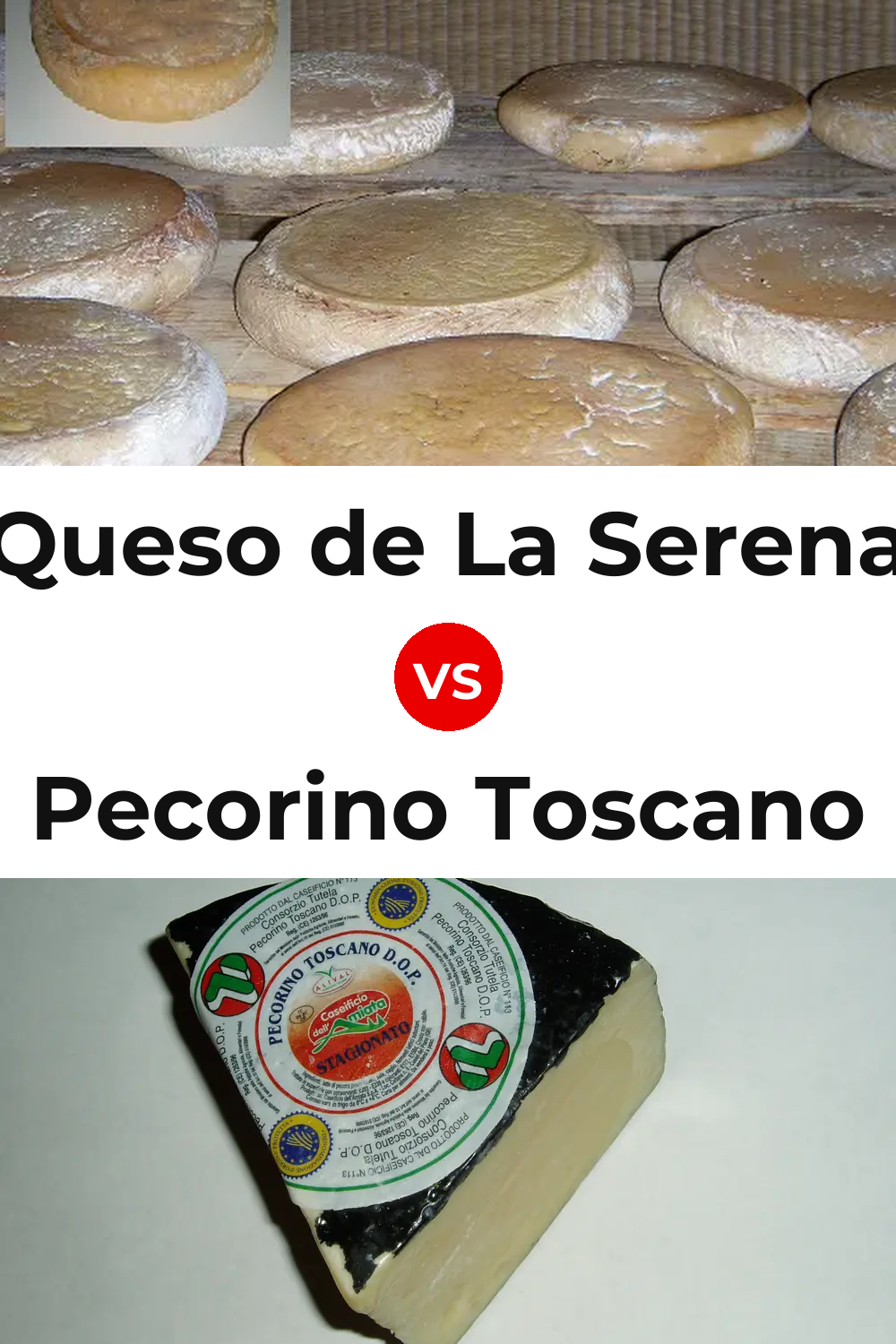 Queso de La Serena vs Pecorino Toscano Cheese Pinterest comparison