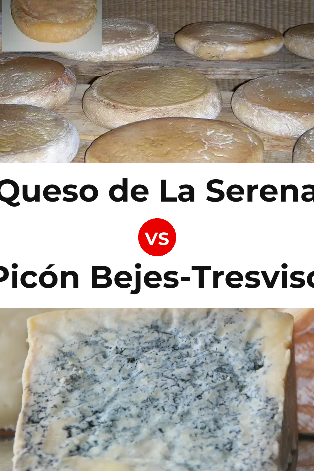 Queso de La Serena vs Picón Bejes-Tresviso Cheese Pinterest comparison