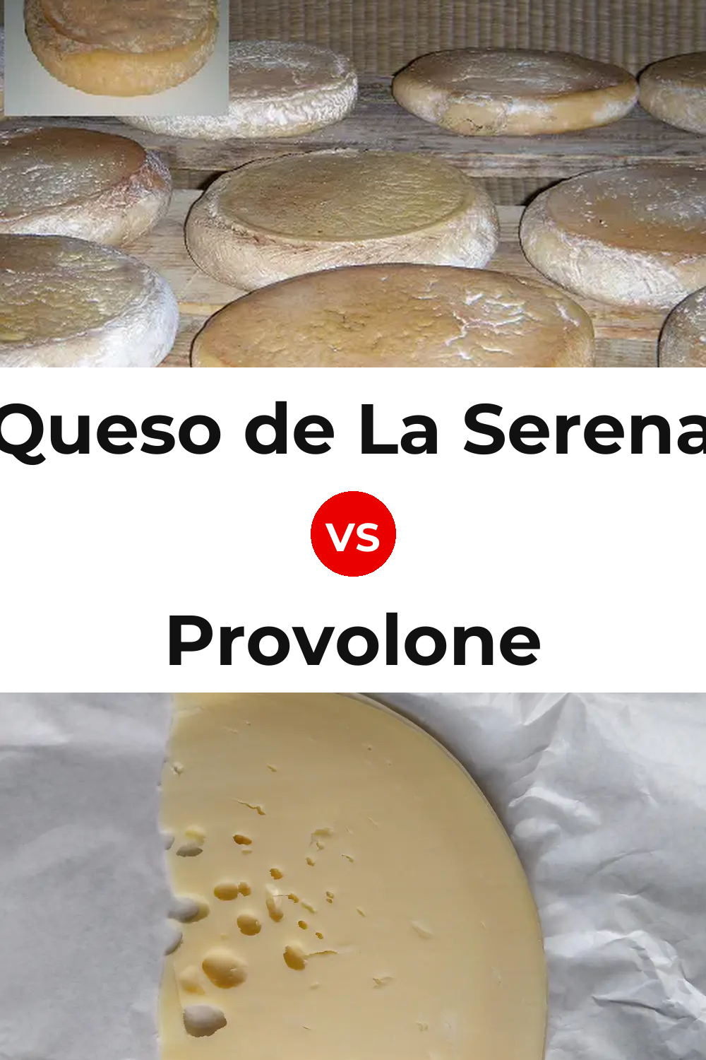Queso de La Serena vs Provolone Cheese Pinterest comparison