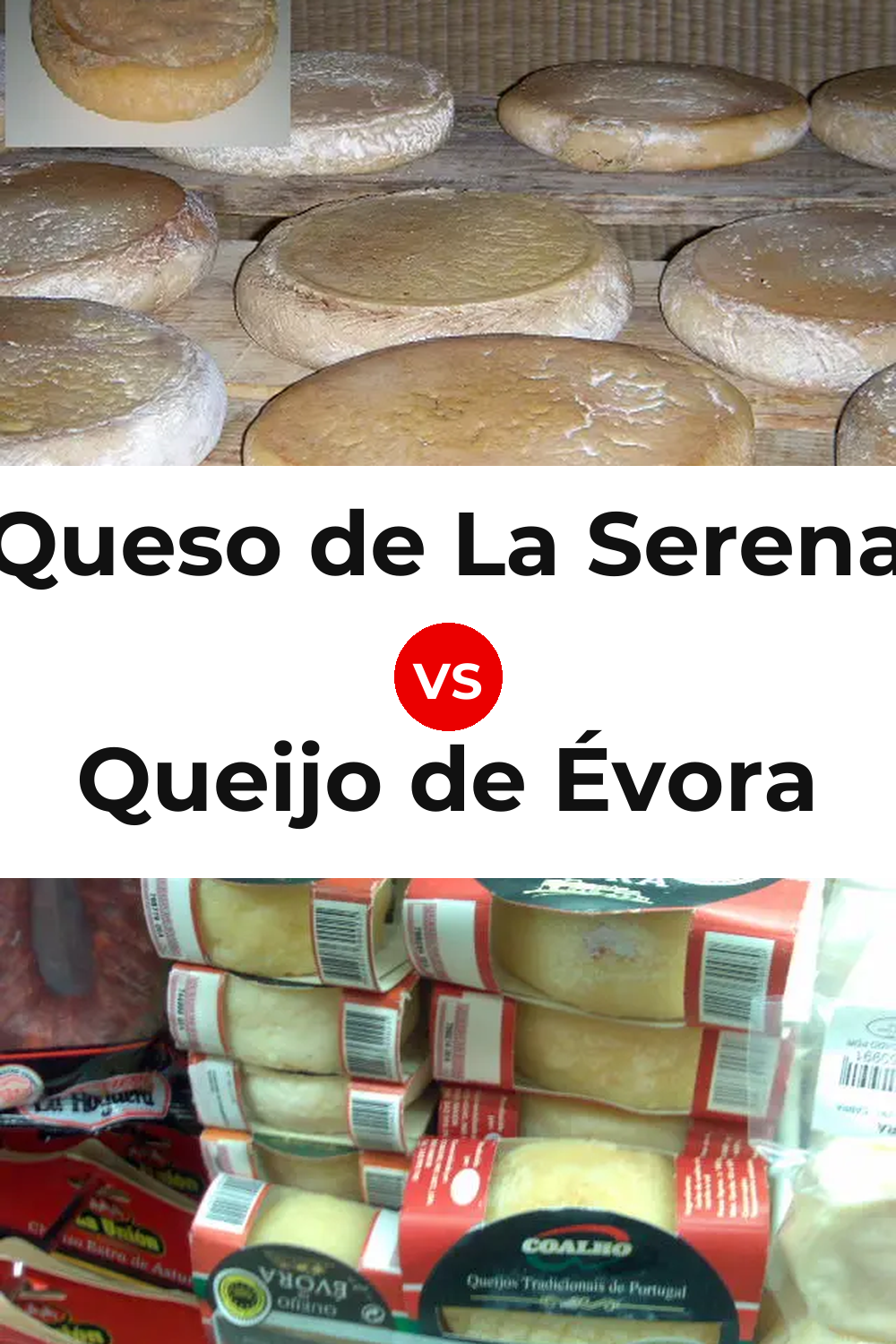 Queso de La Serena vs Queijo de Évora Pinterest comparison