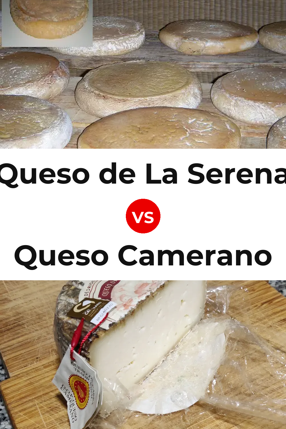 Queso de La Serena vs Queso Camerano Pinterest comparison