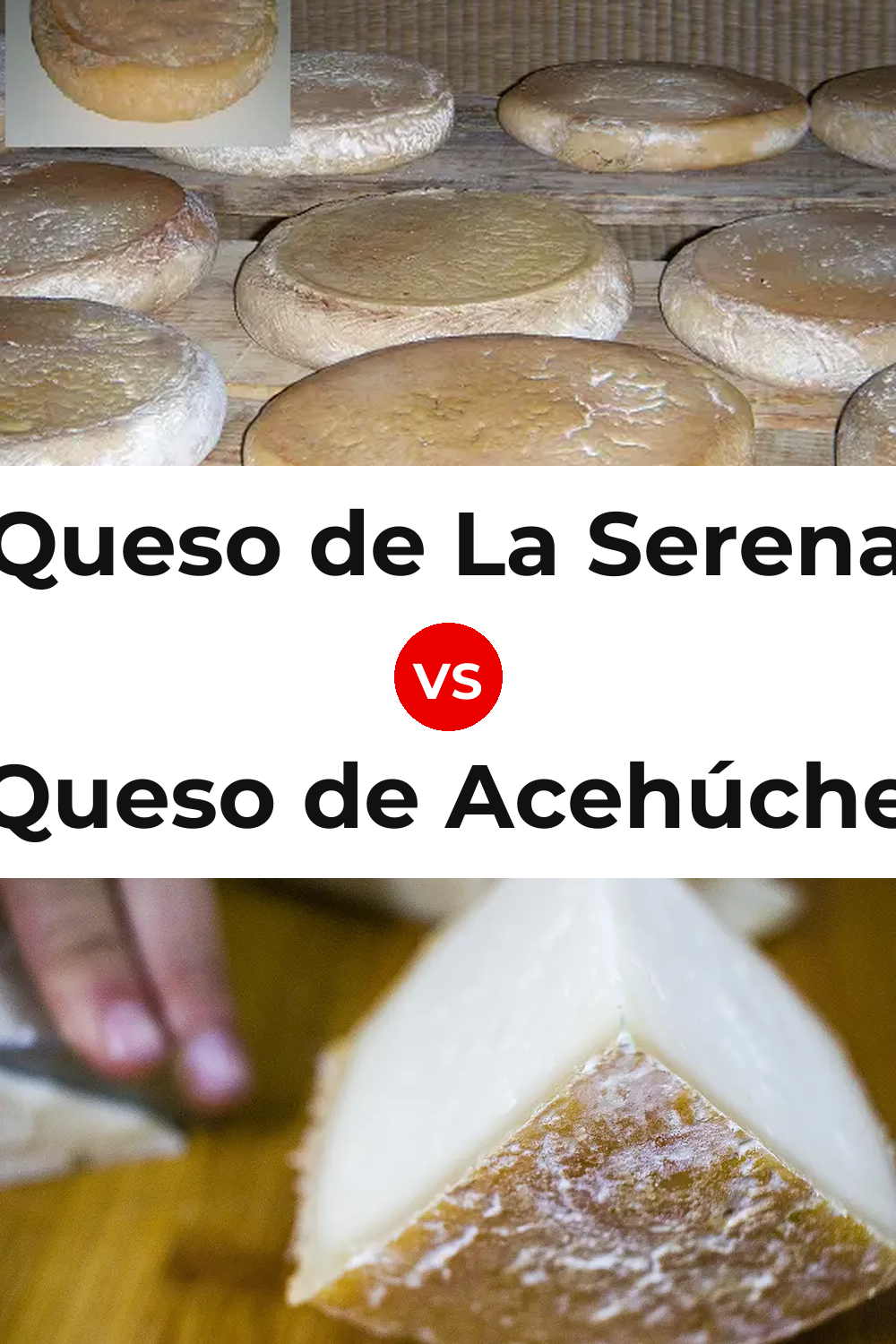 Queso de La Serena vs Queso de Acehúche Pinterest comparison