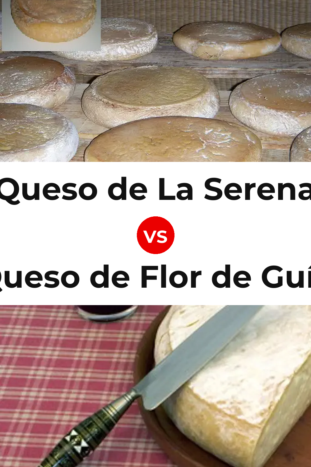 Queso de La Serena vs Queso de Flor de Guía Pinterest comparison