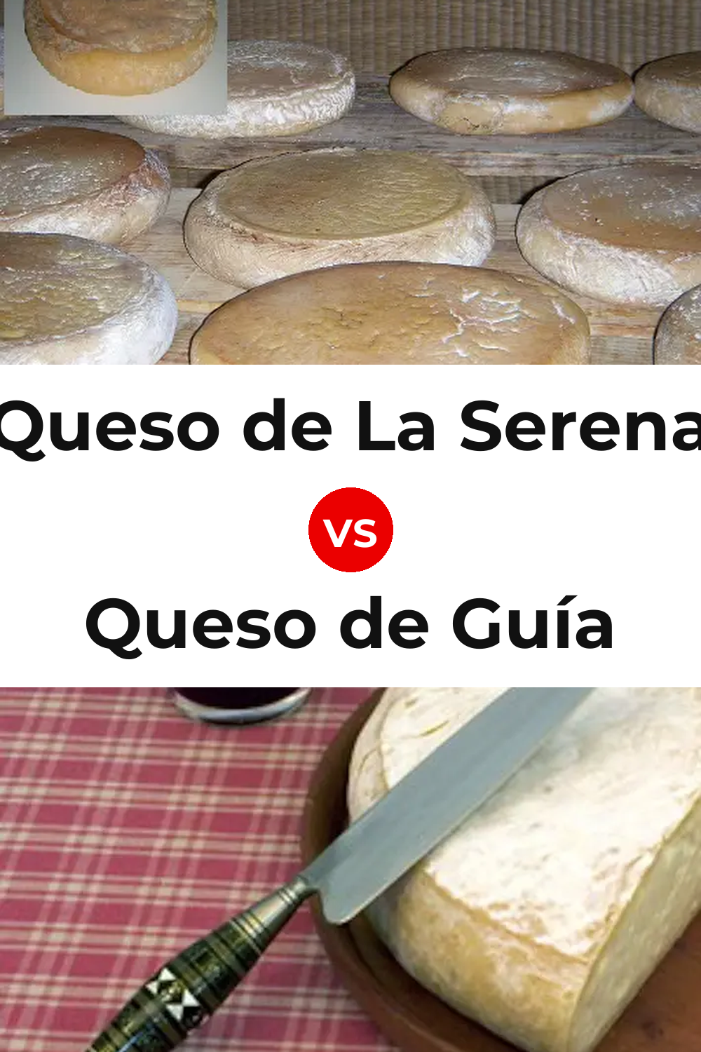 Queso de La Serena vs Queso de Guía Pinterest comparison