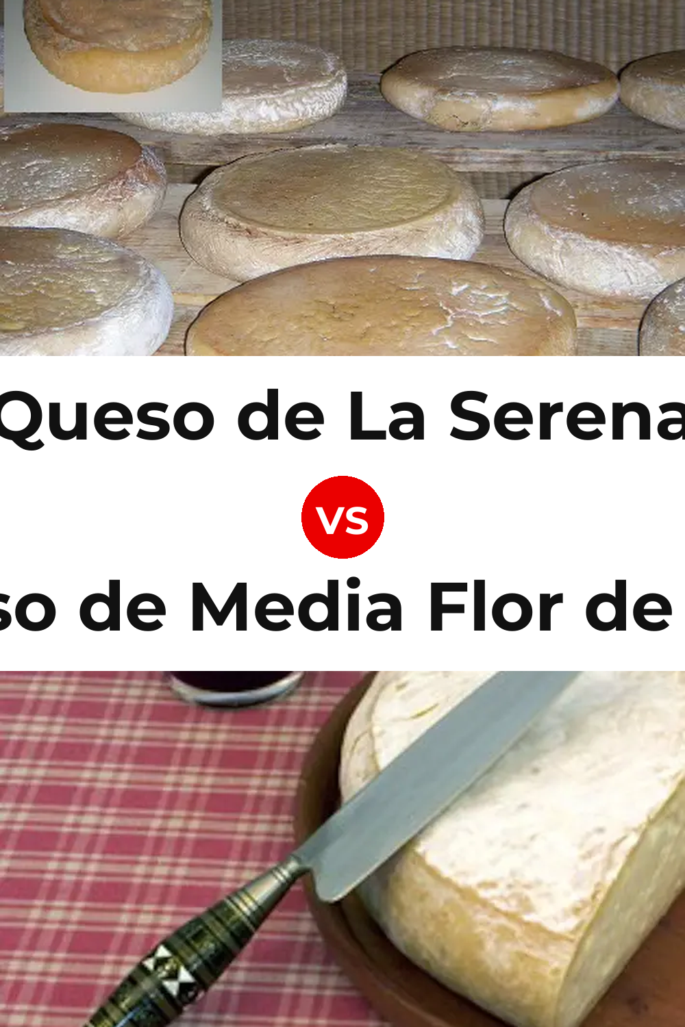 Queso de La Serena vs Queso de Media Flor de Guía Pinterest comparison