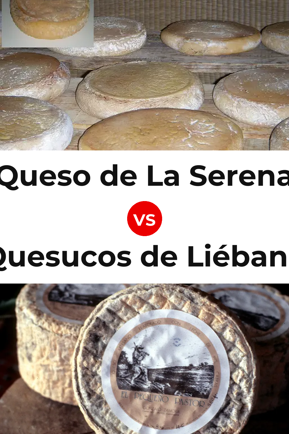 Queso de La Serena vs Quesucos de Liébana Cheese Pinterest comparison