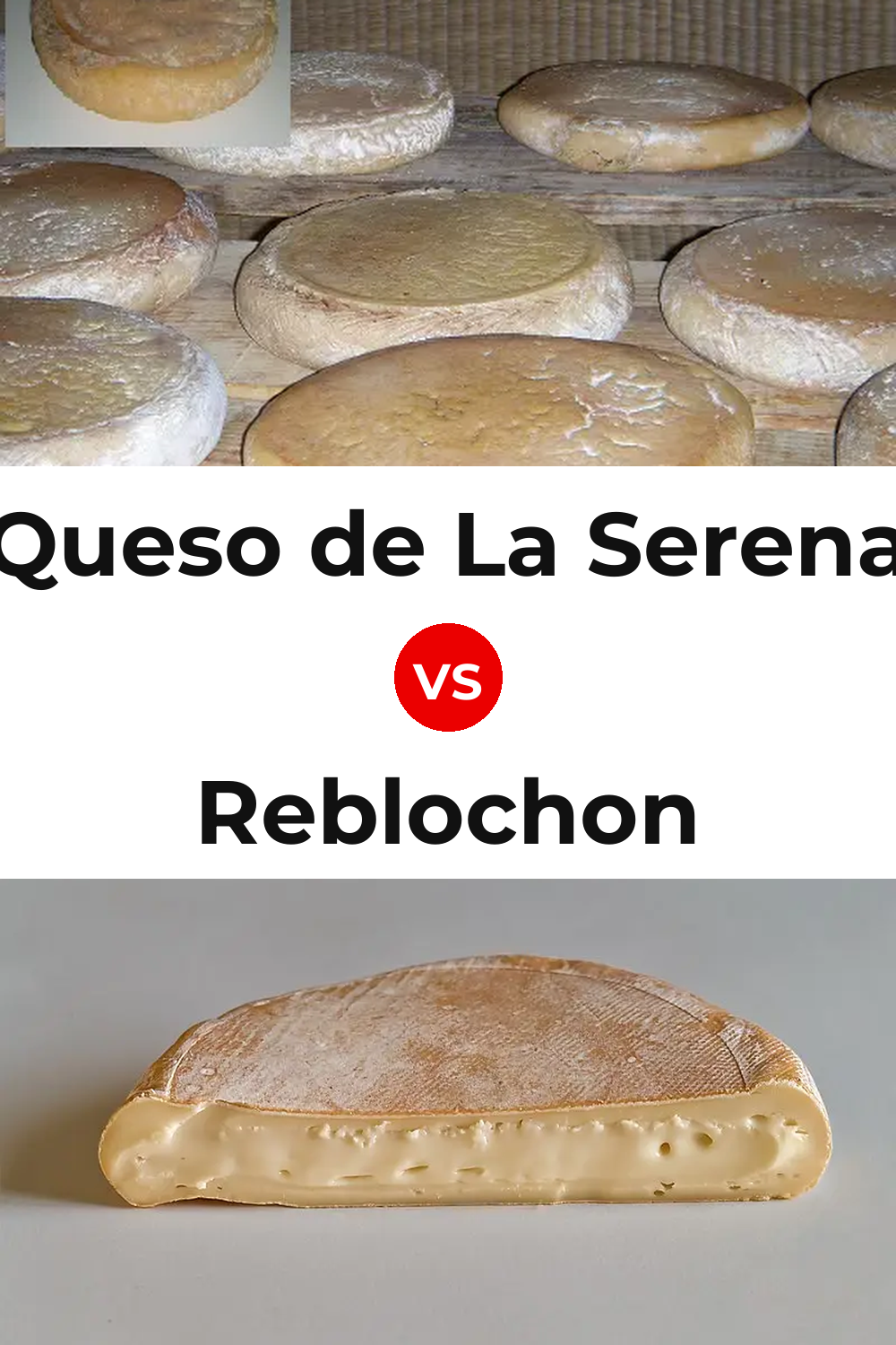 Queso de La Serena vs Reblochon Cheese Pinterest comparison