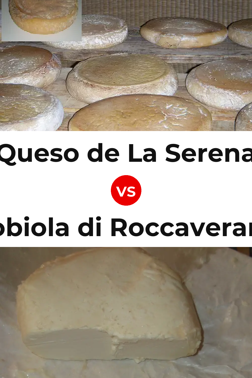 Queso de La Serena vs Robiola di Roccaverano Cheese Pinterest comparison