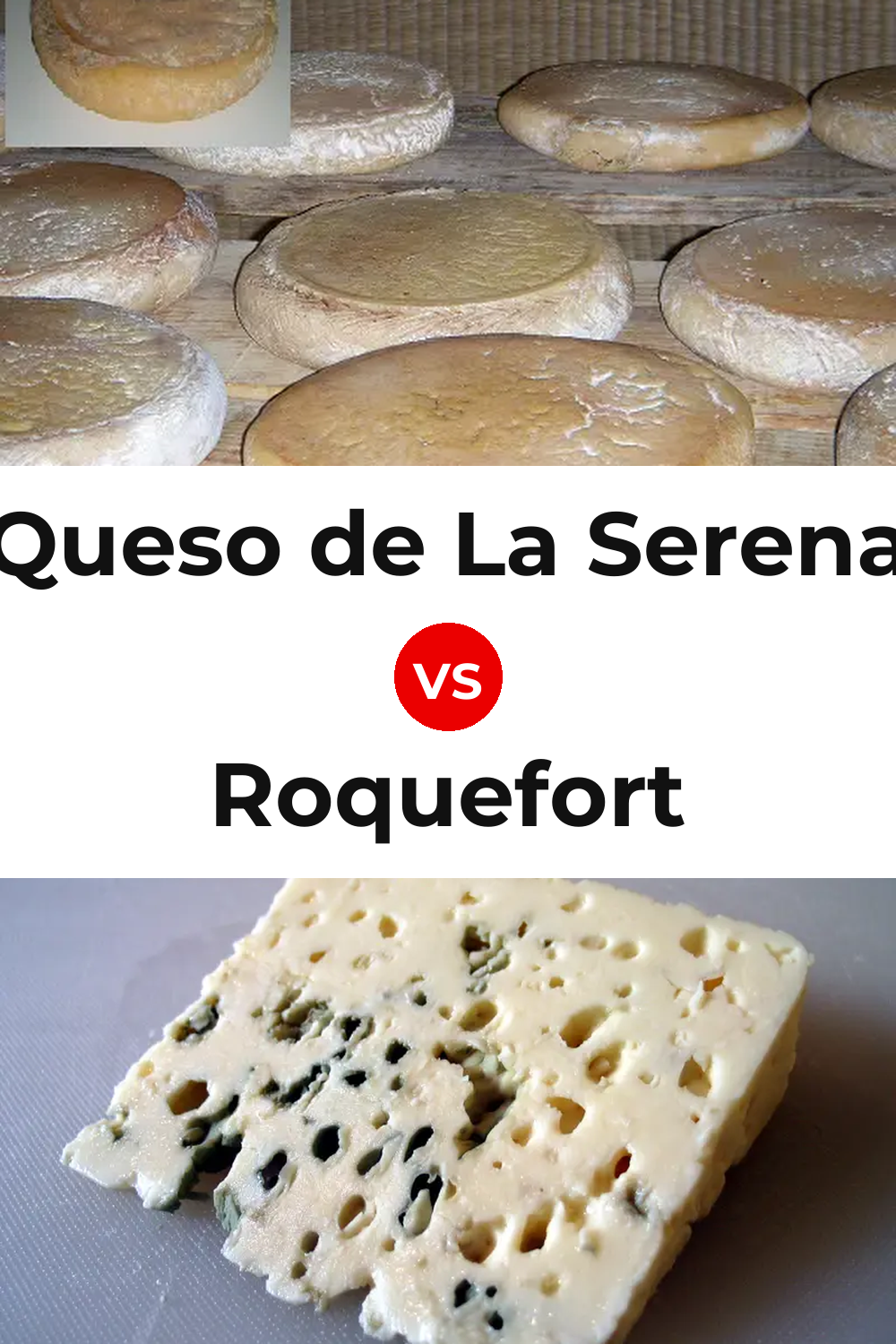 Queso de La Serena vs Roquefort Cheese Pinterest comparison