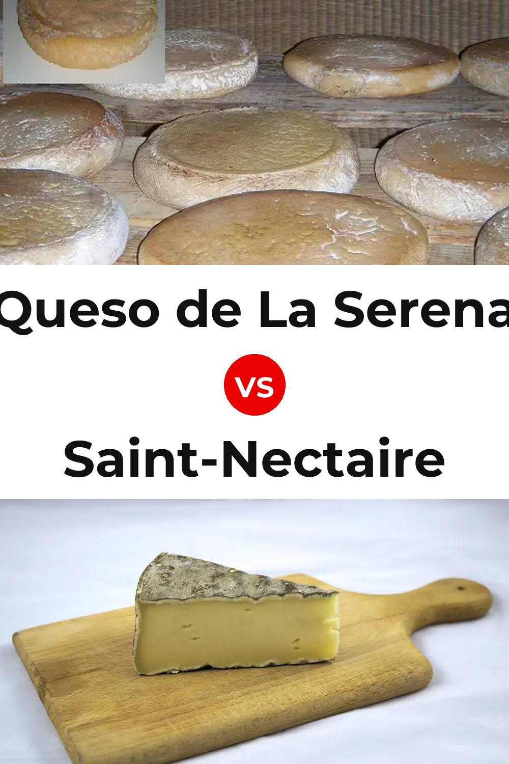 Queso de La Serena vs Saint-Nectaire Cheese Pinterest comparison