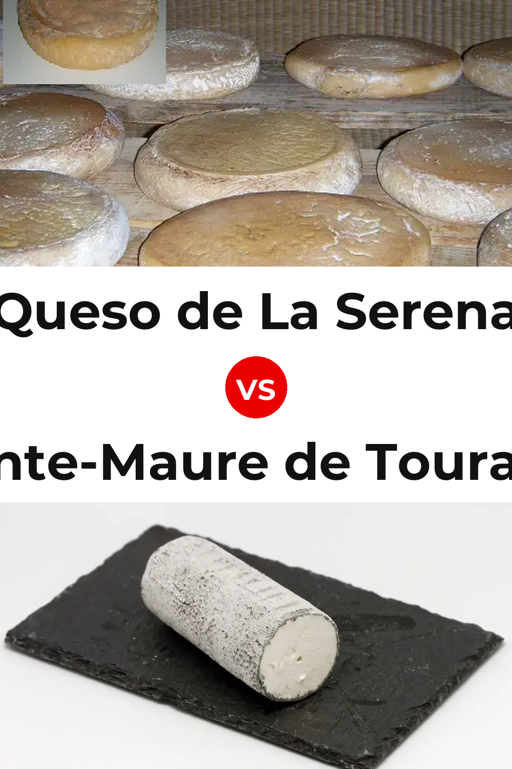 Queso de La Serena vs Sainte-Maure de Touraine Cheese Pinterest comparison