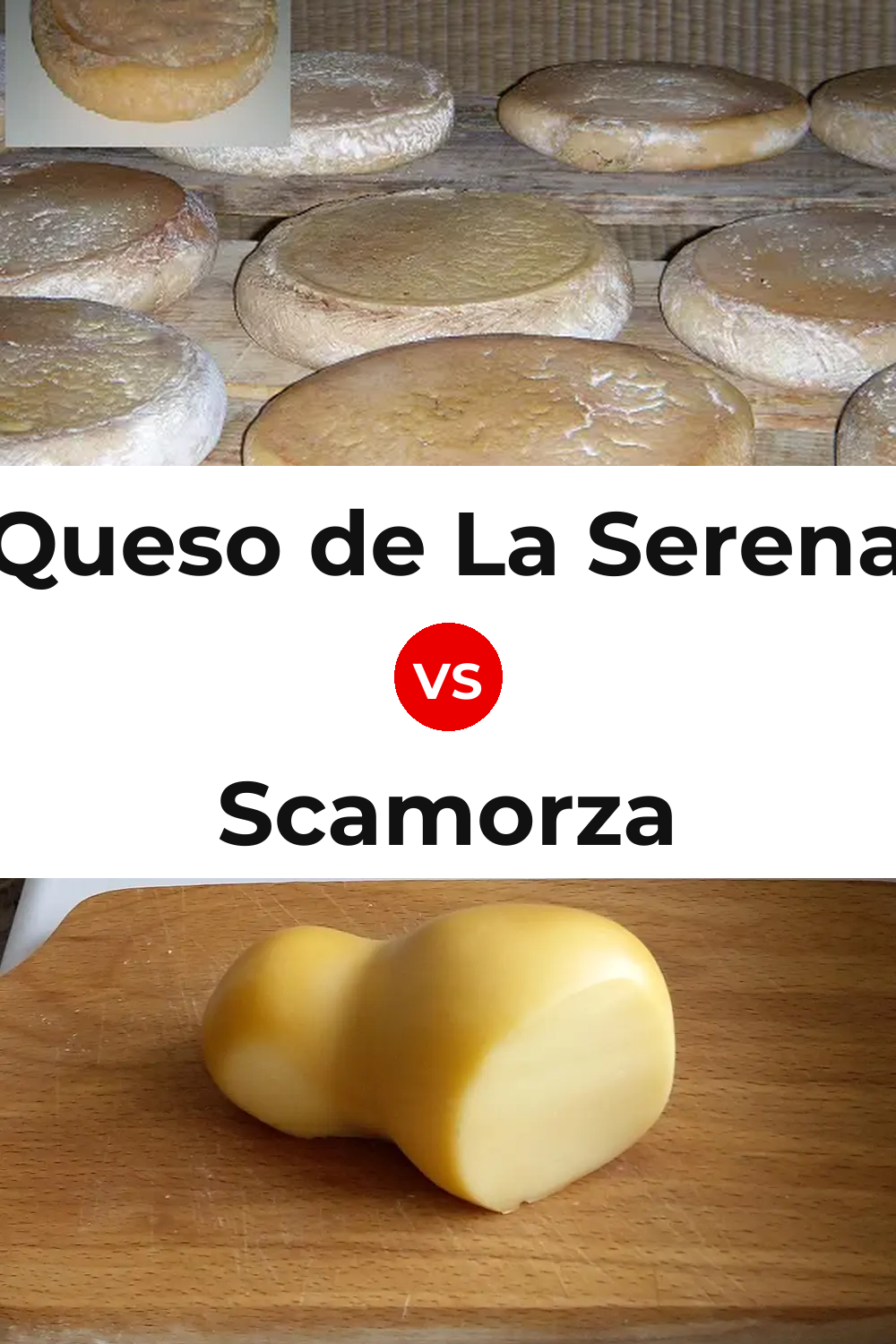 Queso de La Serena vs Scamorza Cheese Pinterest comparison