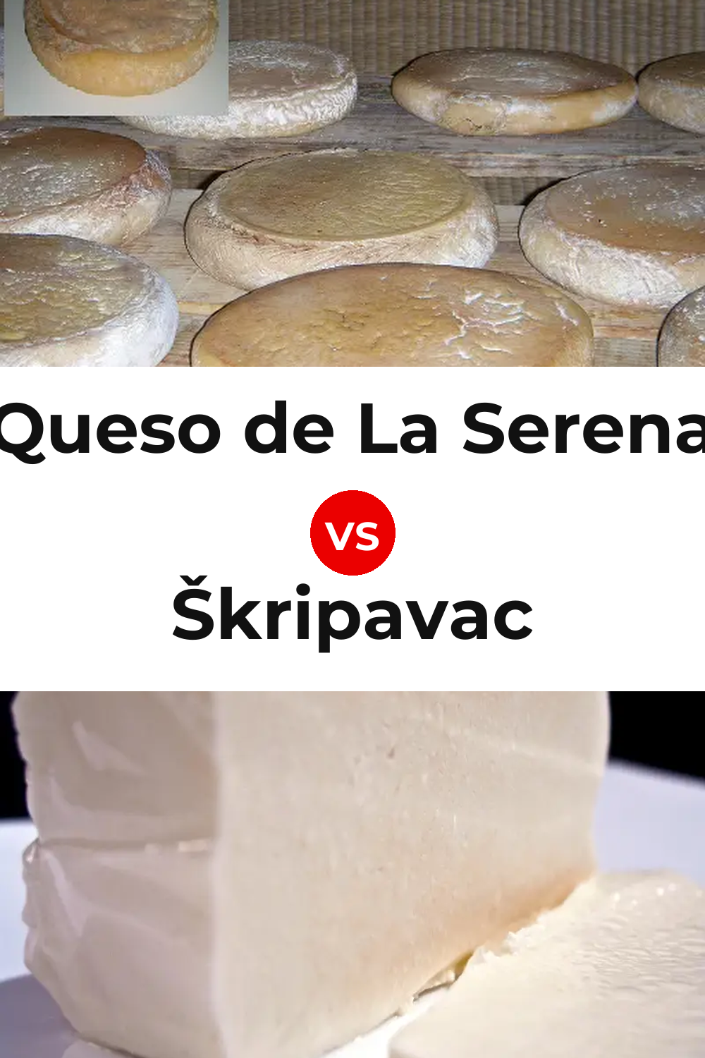 Queso de La Serena vs Škripavac Cheese Pinterest comparison