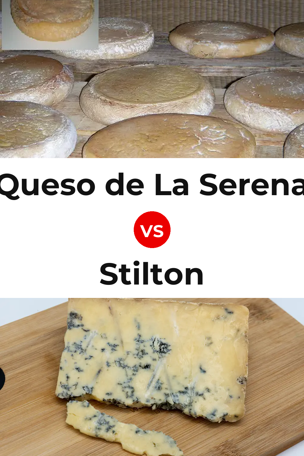 Queso de La Serena vs Stilton Cheese Pinterest comparison
