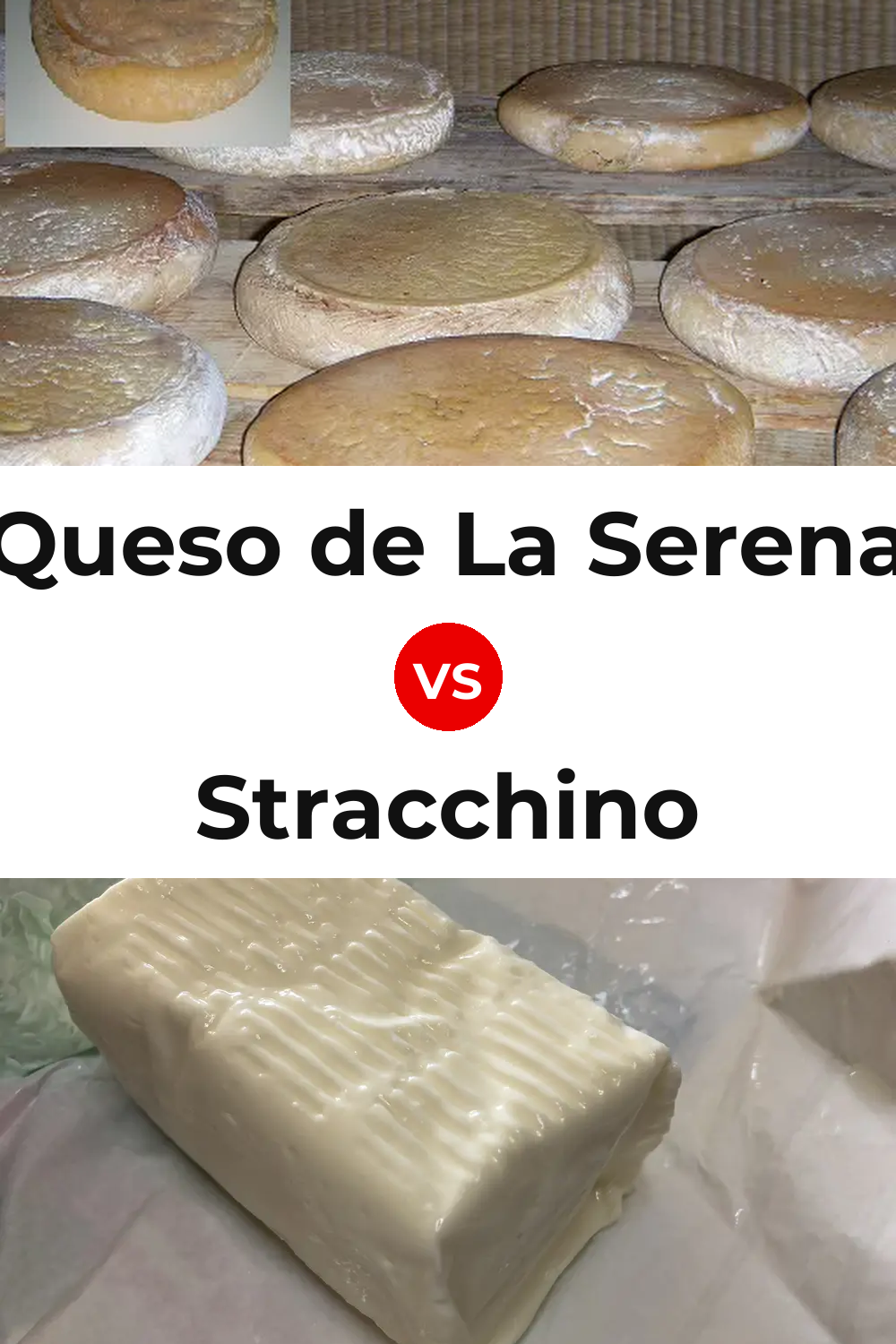 Queso de La Serena vs Stracchino Cheese Pinterest comparison