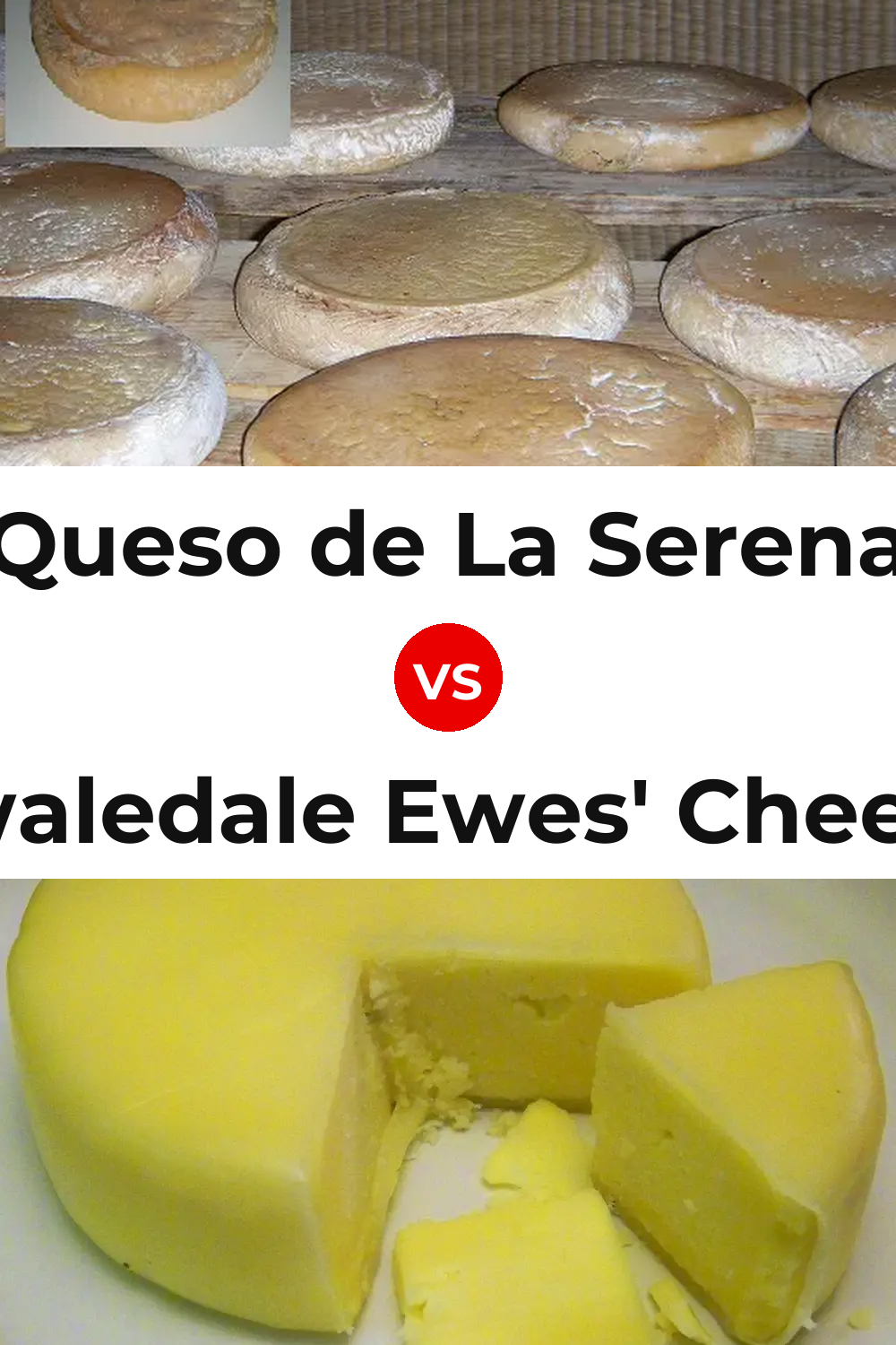 Queso de La Serena vs Swaledale Ewes' Cheese Pinterest comparison