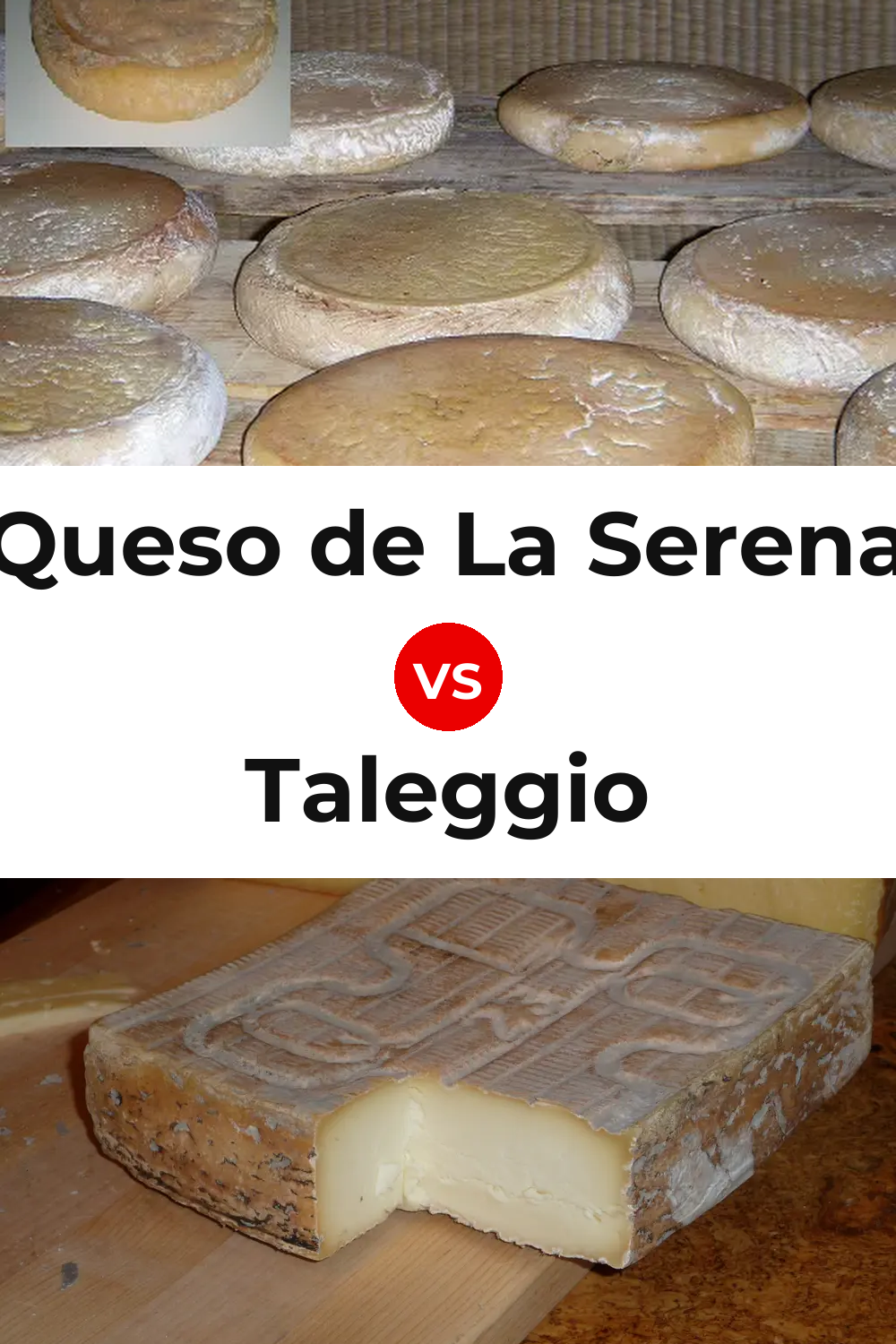 Queso de La Serena vs Taleggio Cheese Pinterest comparison