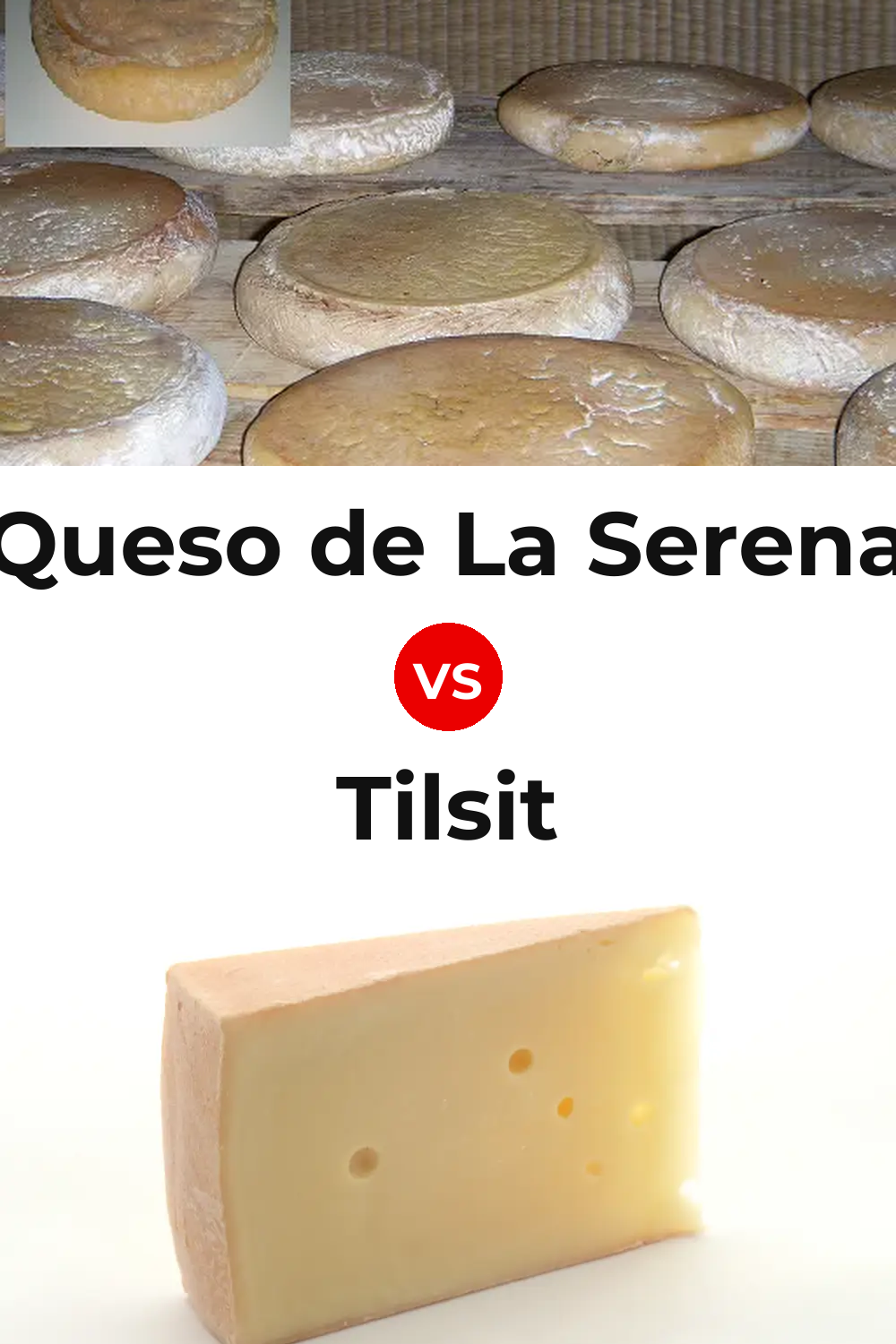 Queso de La Serena vs Tilsit Cheese Pinterest comparison