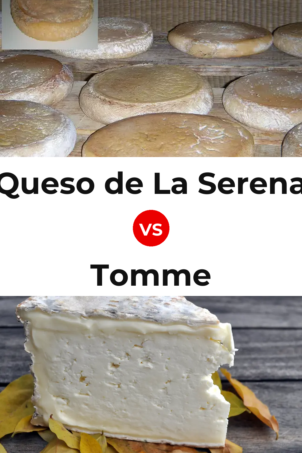 Queso de La Serena vs Tomme Cheese Pinterest comparison