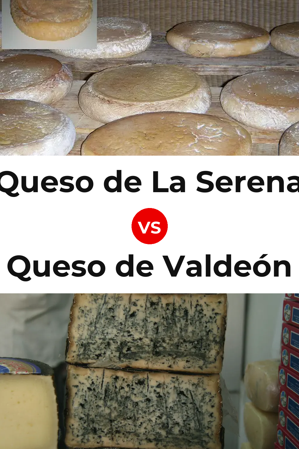 Queso de La Serena vs Queso de Valdeón Pinterest comparison