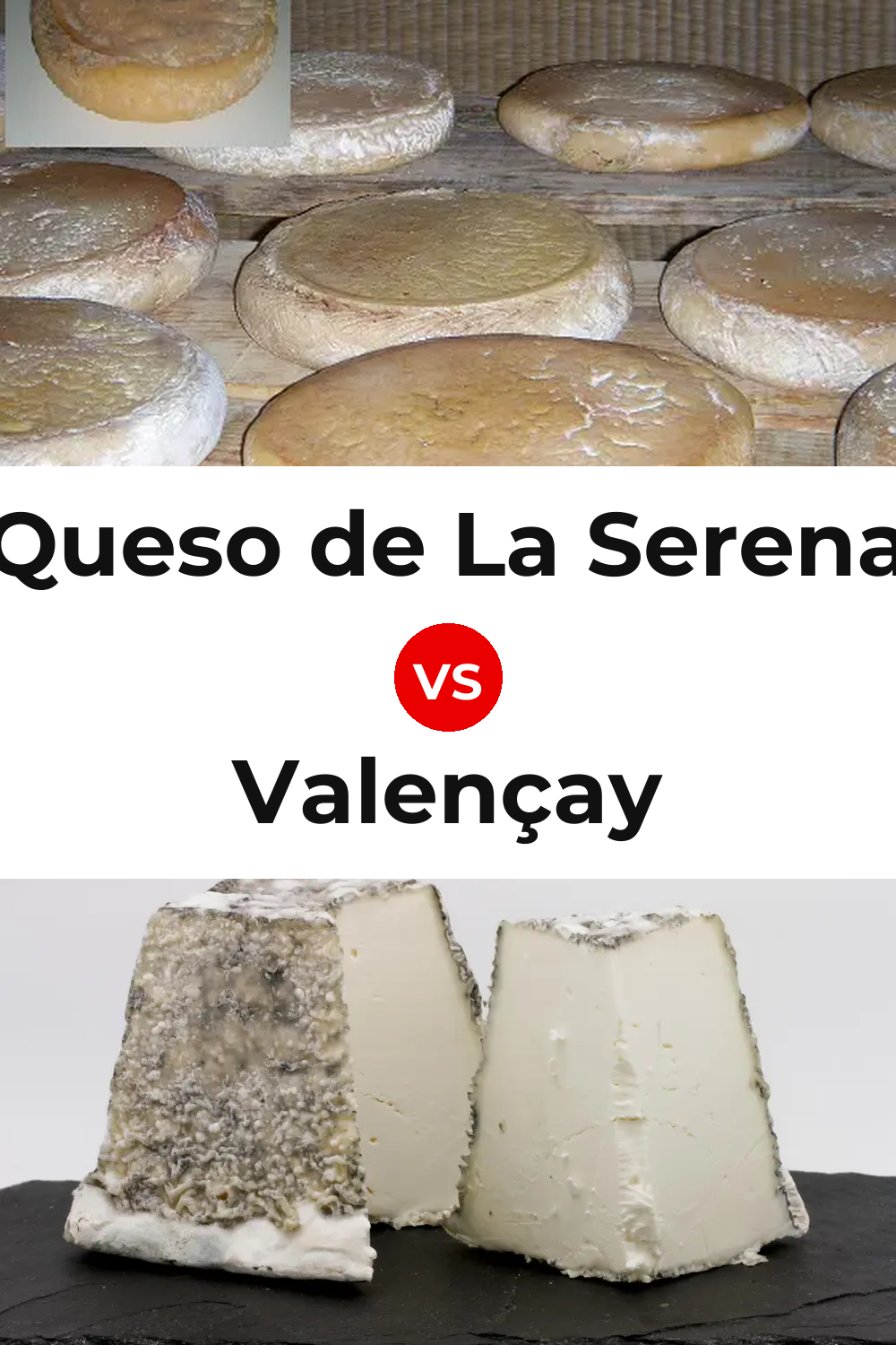 Queso de La Serena vs Valençay Cheese Pinterest comparison