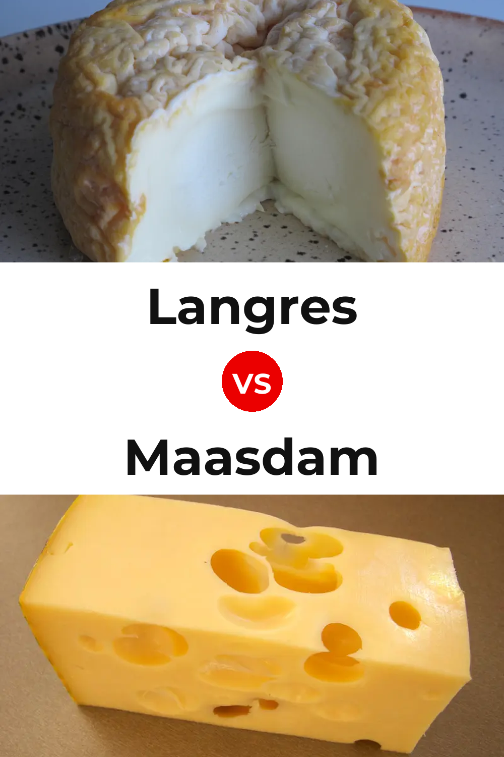 Langres Cheese vs Maasdam Cheese Pinterest comparison