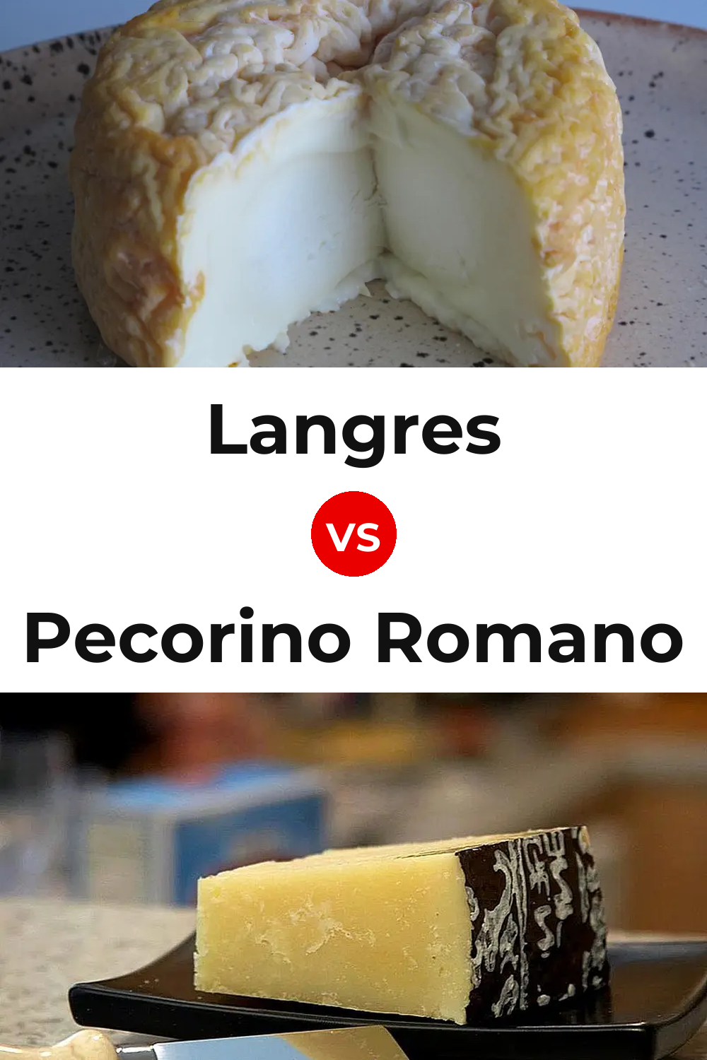 Langres Cheese vs Pecorino Romano Cheese Pinterest comparison