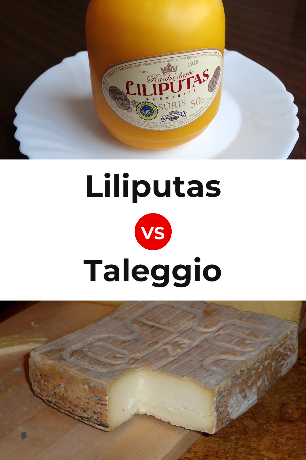 Liliputas Cheese vs Taleggio Cheese Pinterest comparison
