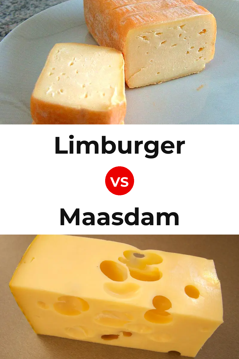 Limburger Cheese vs Maasdam Cheese Pinterest comparison